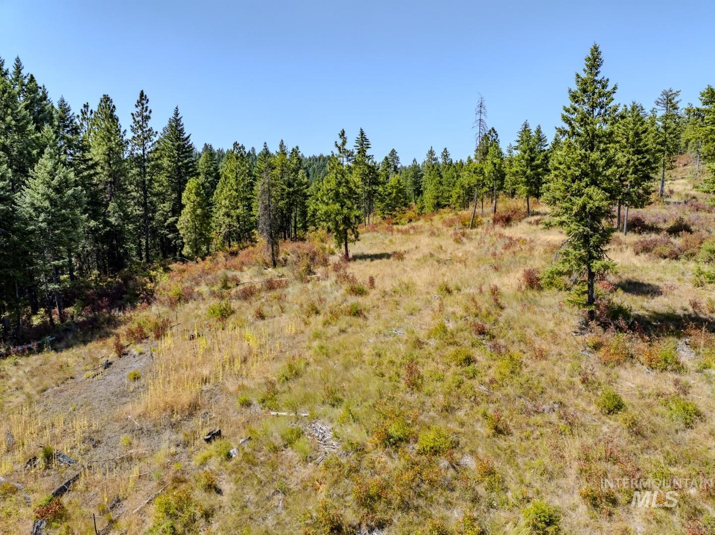 Starview Lane Parcel 2, Princeton, Idaho 83857, Land For Sale, Price $224,000,MLS 98921930