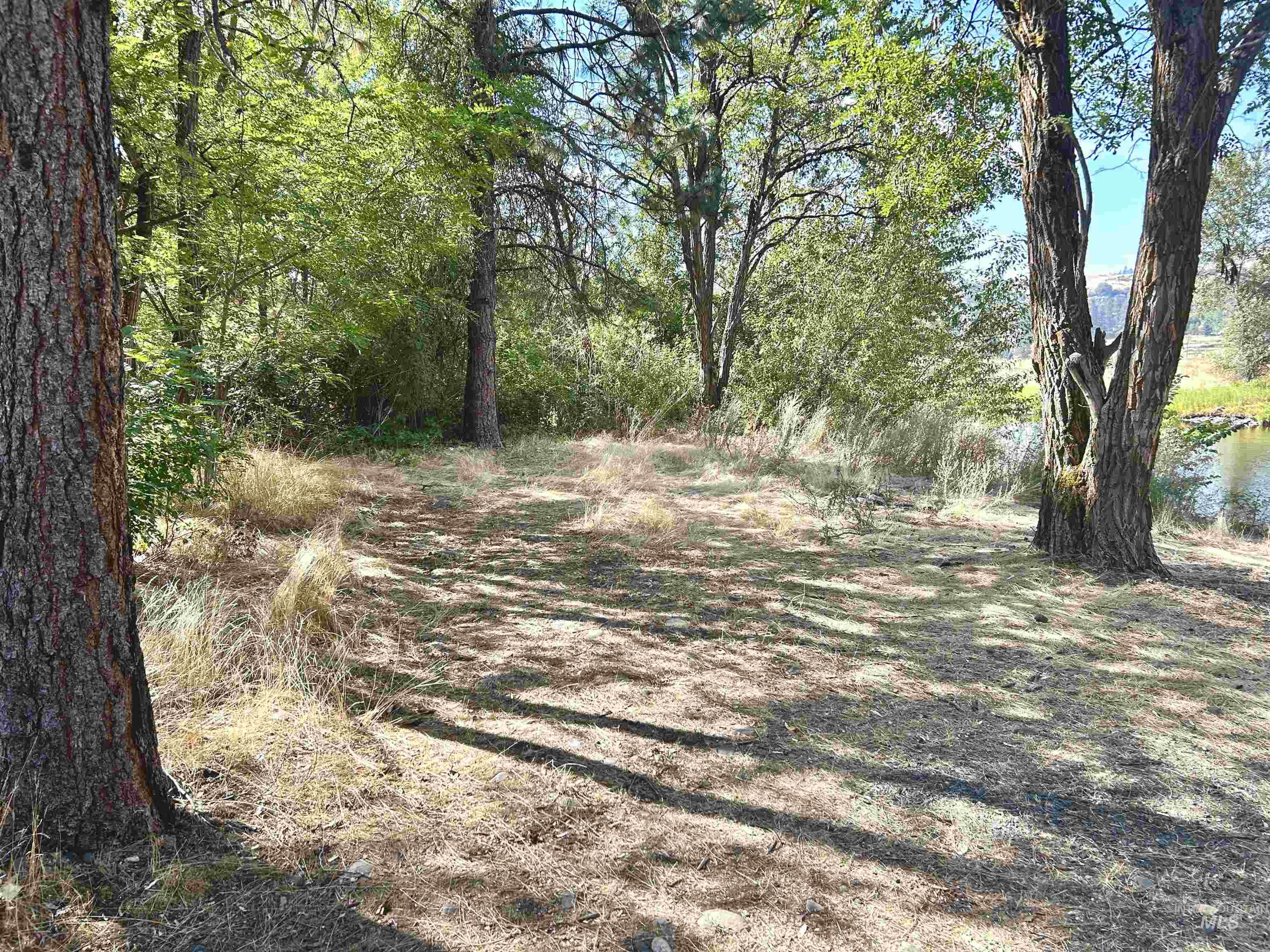 TBD Highway 13, Stites, Idaho 83552, Land For Sale, Price $45,000, 98922009