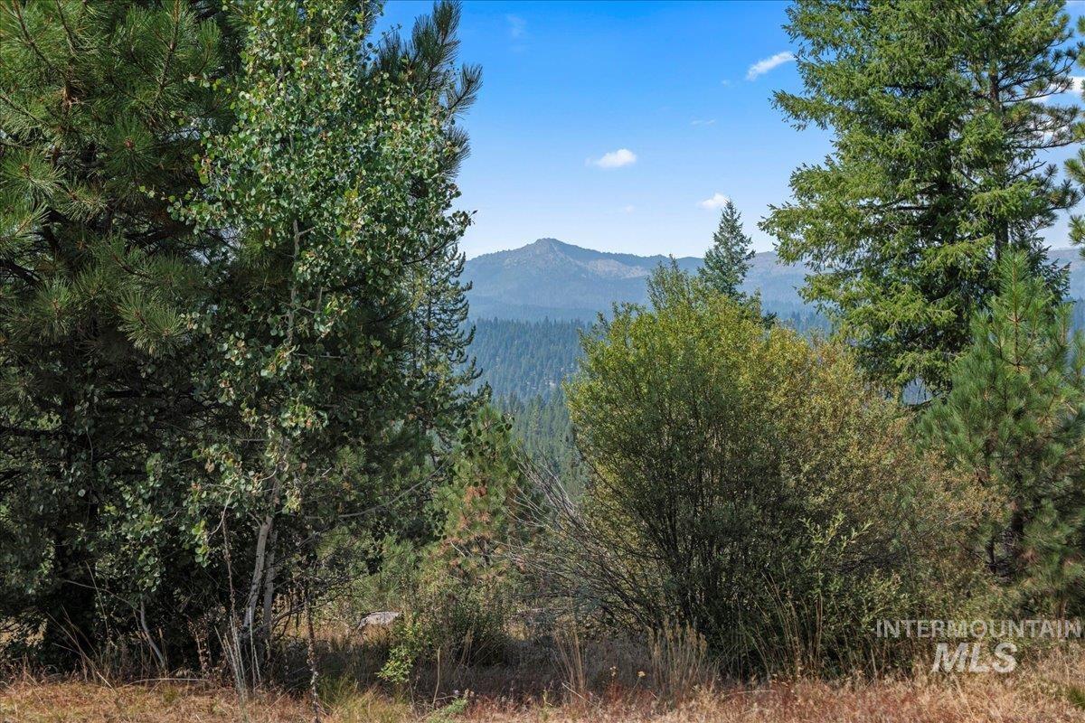 100 Coit Drive, Cascade, Idaho 83611, Land For Sale, Price $400,000,MLS 98922026