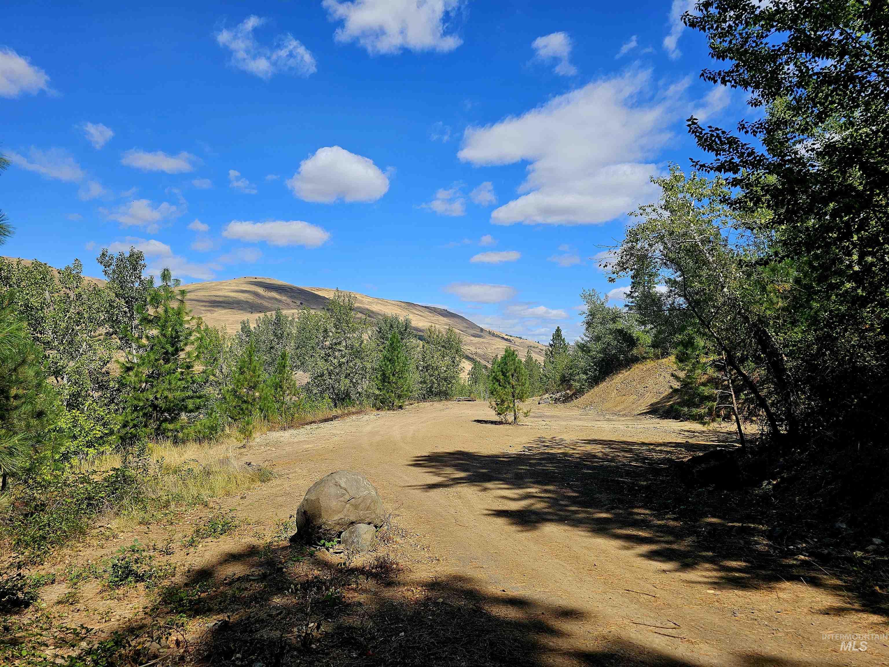 TBD McGary Grade, Juliaetta, Idaho 83537, Land For Sale, Price $179,000,MLS 98922143