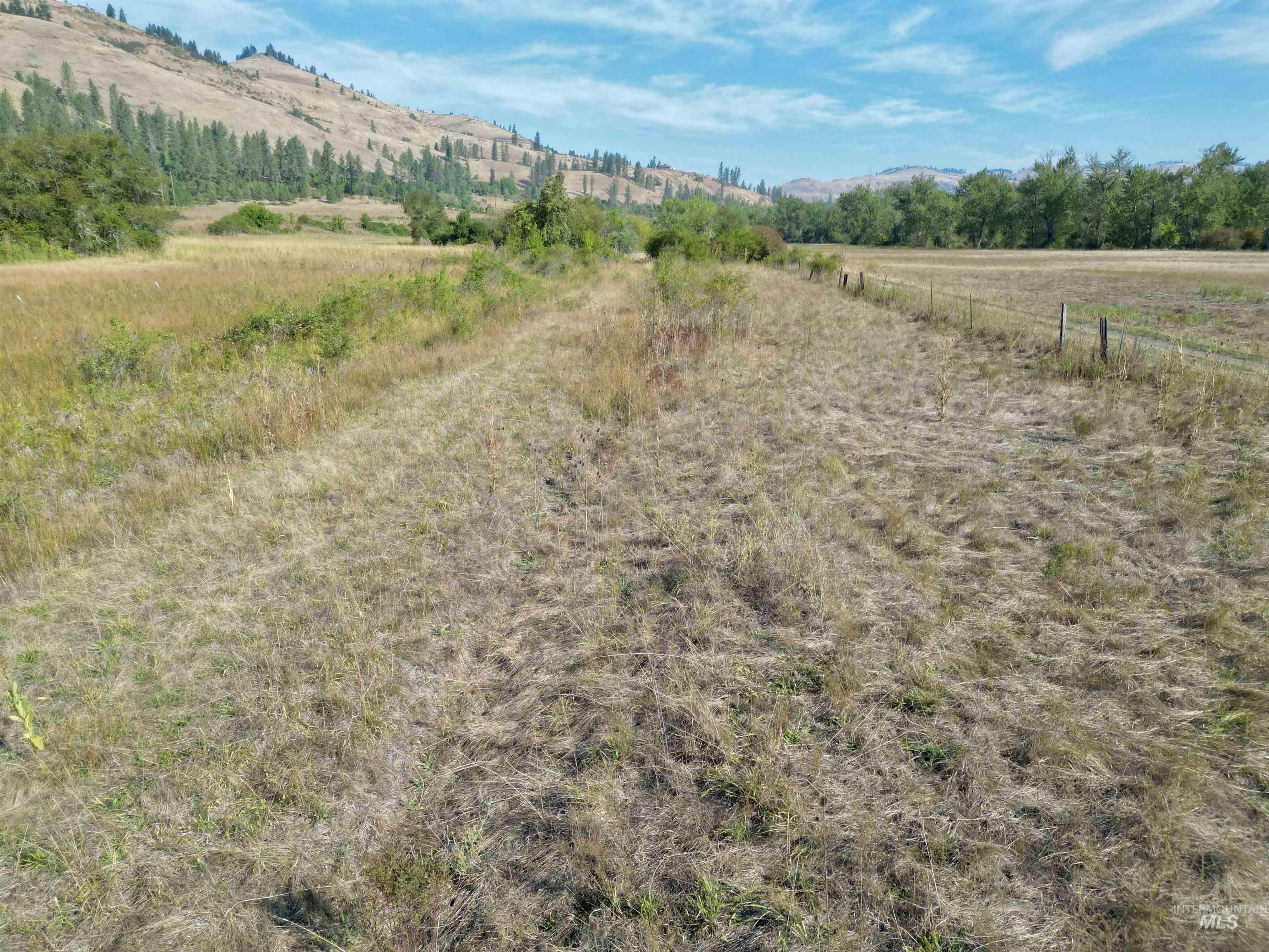 TBD Lukes Gulch Road, Stites, Idaho 83552, Land For Sale, Price $125,000,MLS 98922275