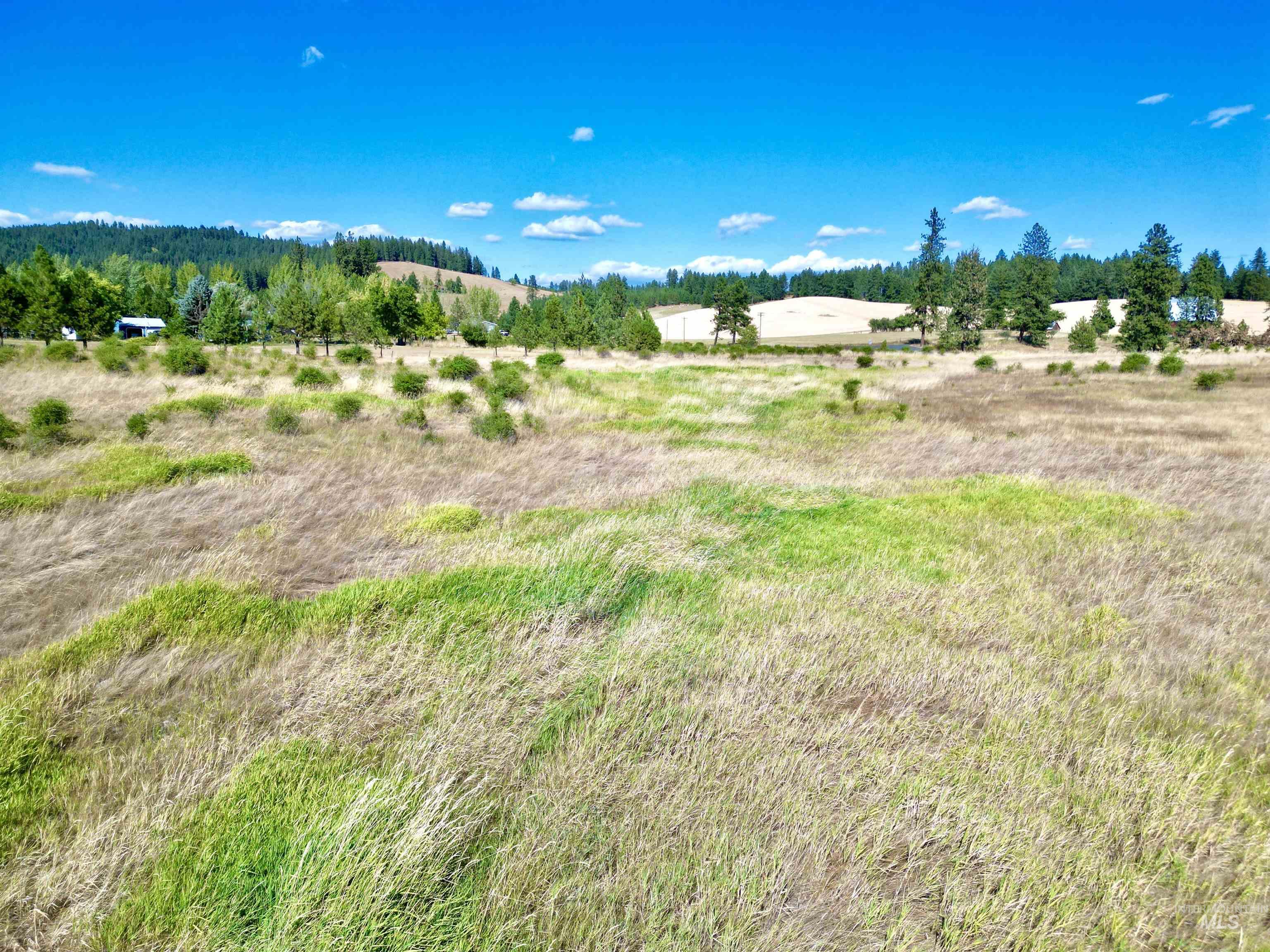 TBD Aitken Road, Kamiah, Idaho 83536, Land For Sale, Price $350,000,MLS 98922278