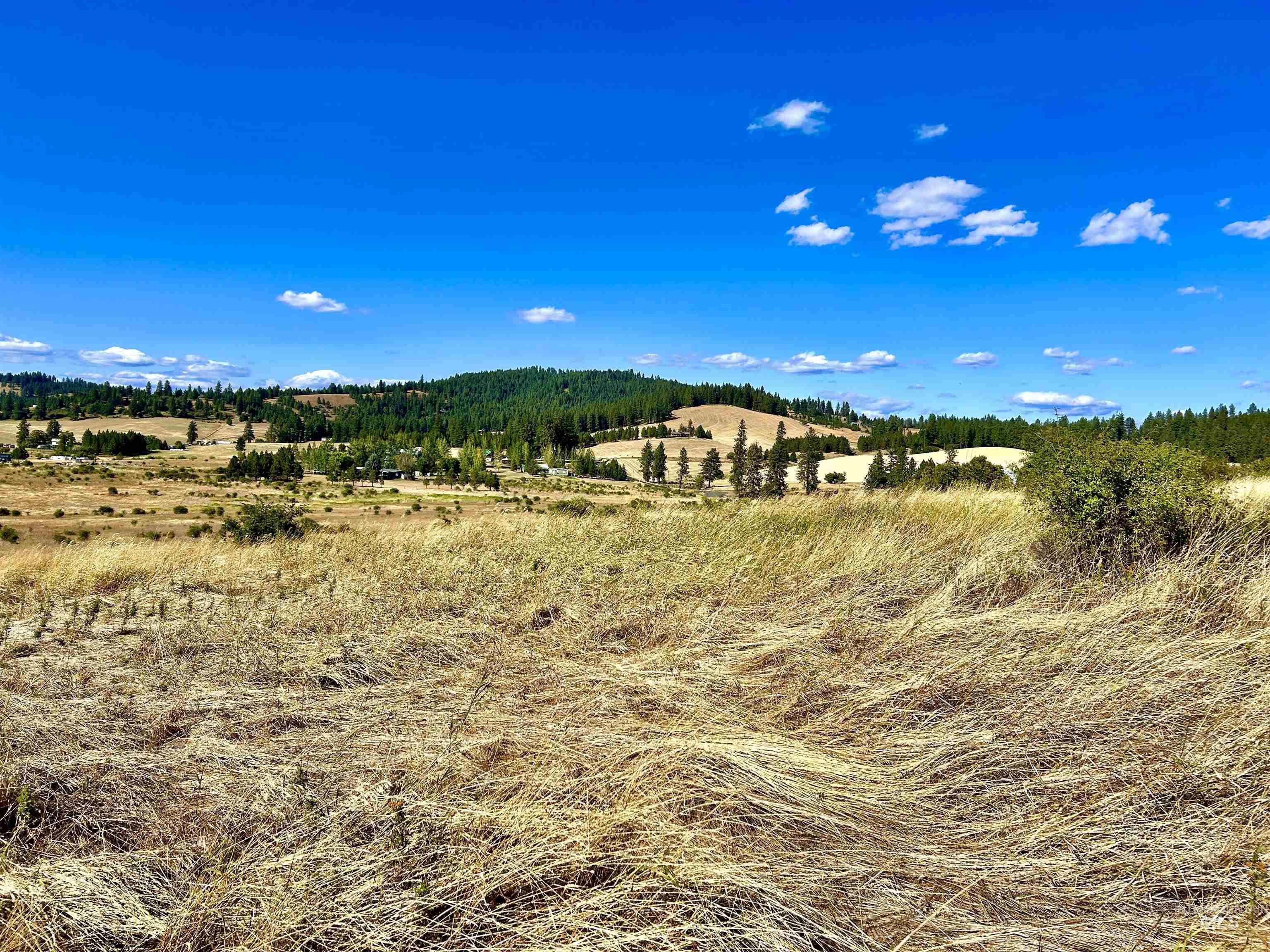 TBD Aitken Road, Kamiah, Idaho 83536, Land For Sale, Price $350,000,MLS 98922278