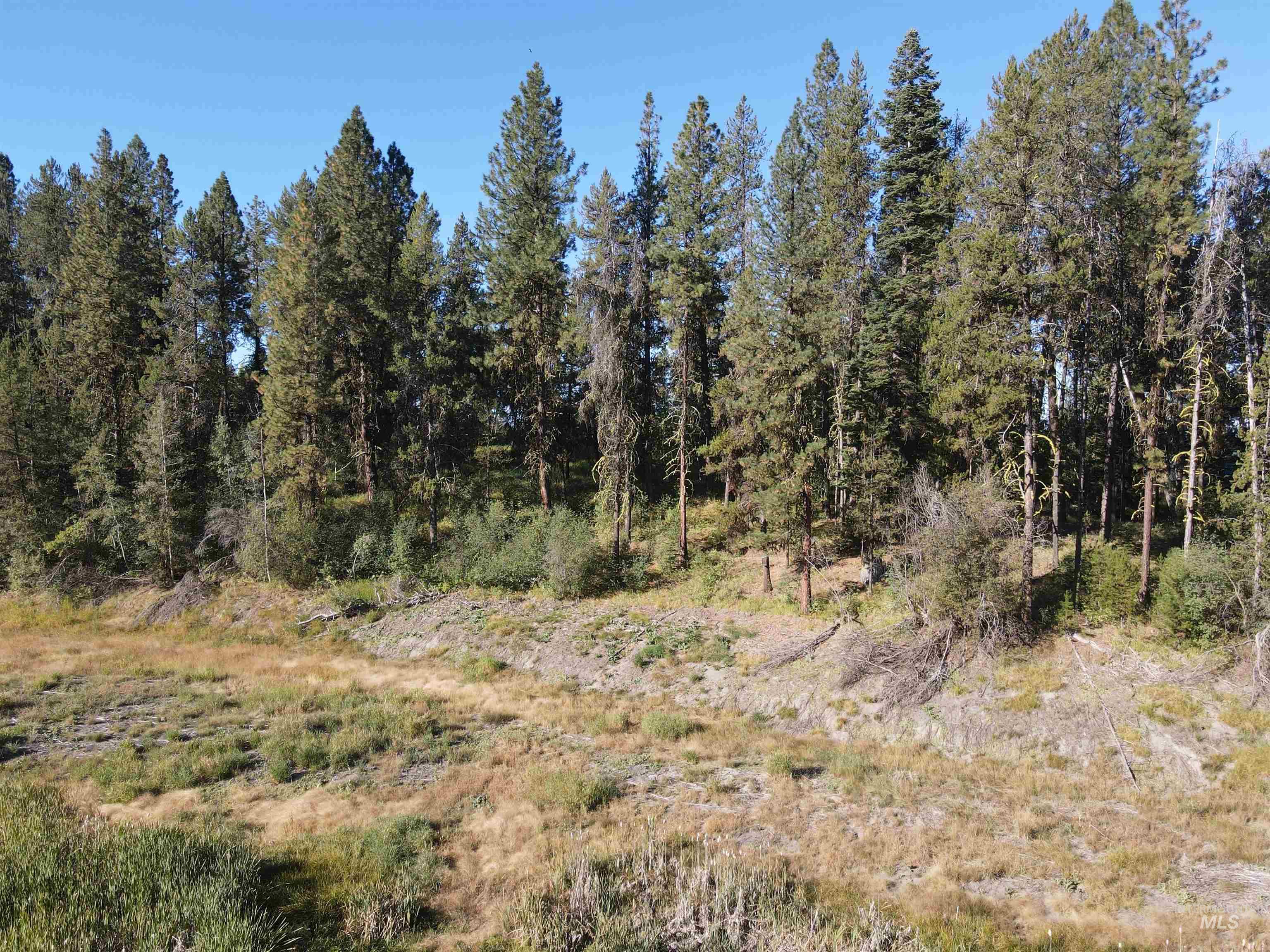 TBD Jughandle Dr, McCall, Idaho 83638, Land For Sale, Price $274,900,MLS 98922305