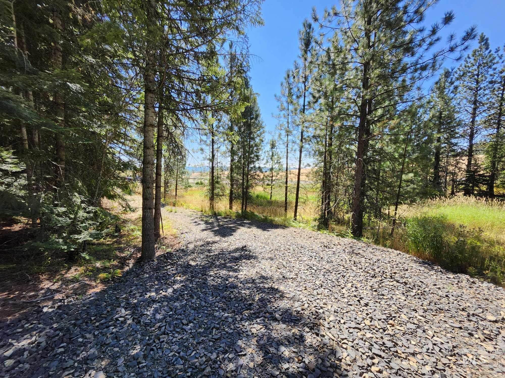 3963 Freeman Creek Road, Lenore, Idaho 83541, Land For Sale, Price $210,000,MLS 98922466