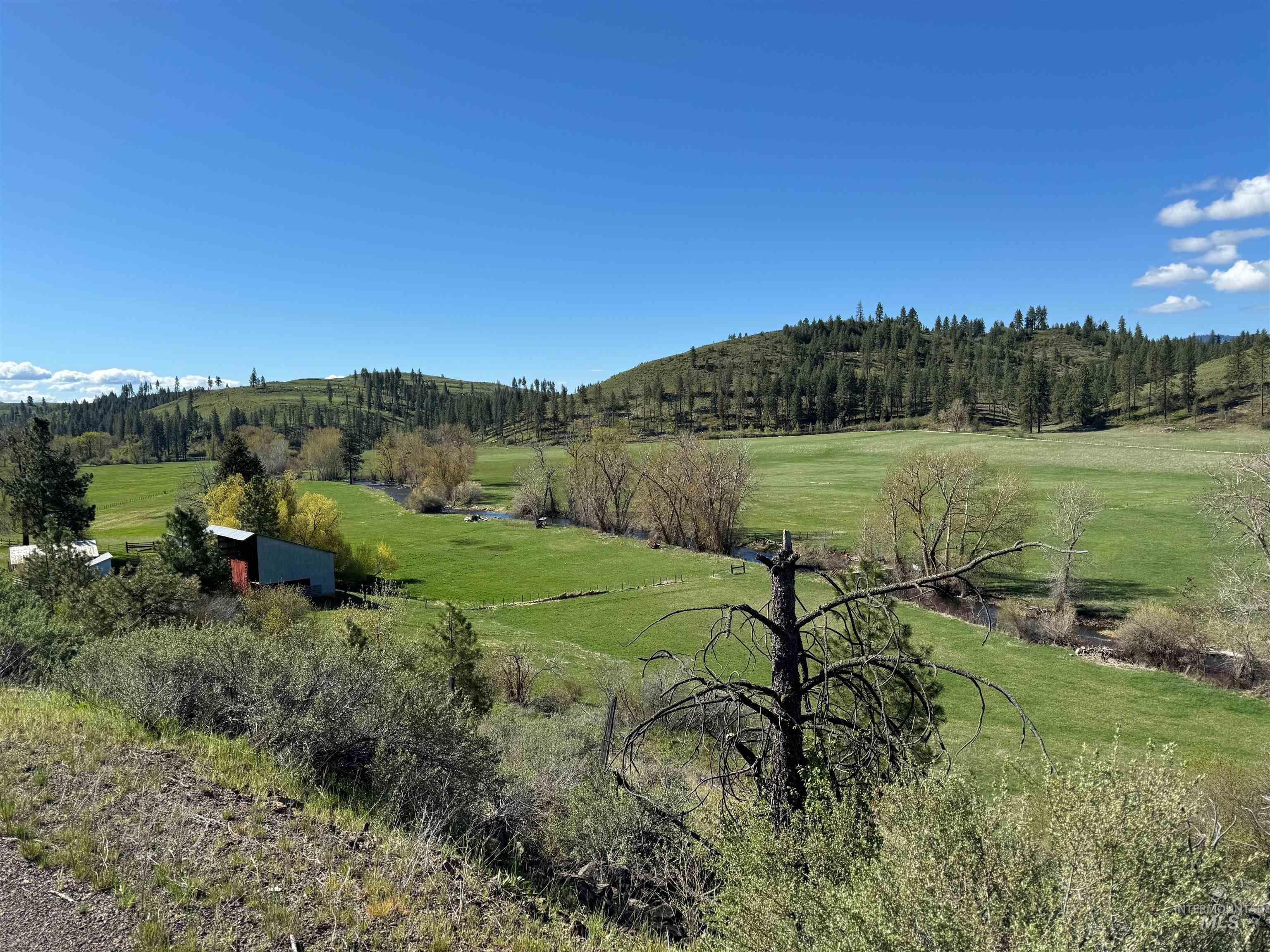2671 W Fork Road, Council, Idaho 83612, 4 Bedrooms, 2 Bathrooms, Farm & Ranch For Sale, Price $1,595,000, 98922468