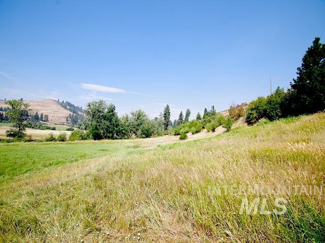 2671 W Fork Road, Council, Idaho 83612, 4 Bedrooms, 2 Bathrooms, Farm & Ranch For Sale, Price $1,595,000, 98922468