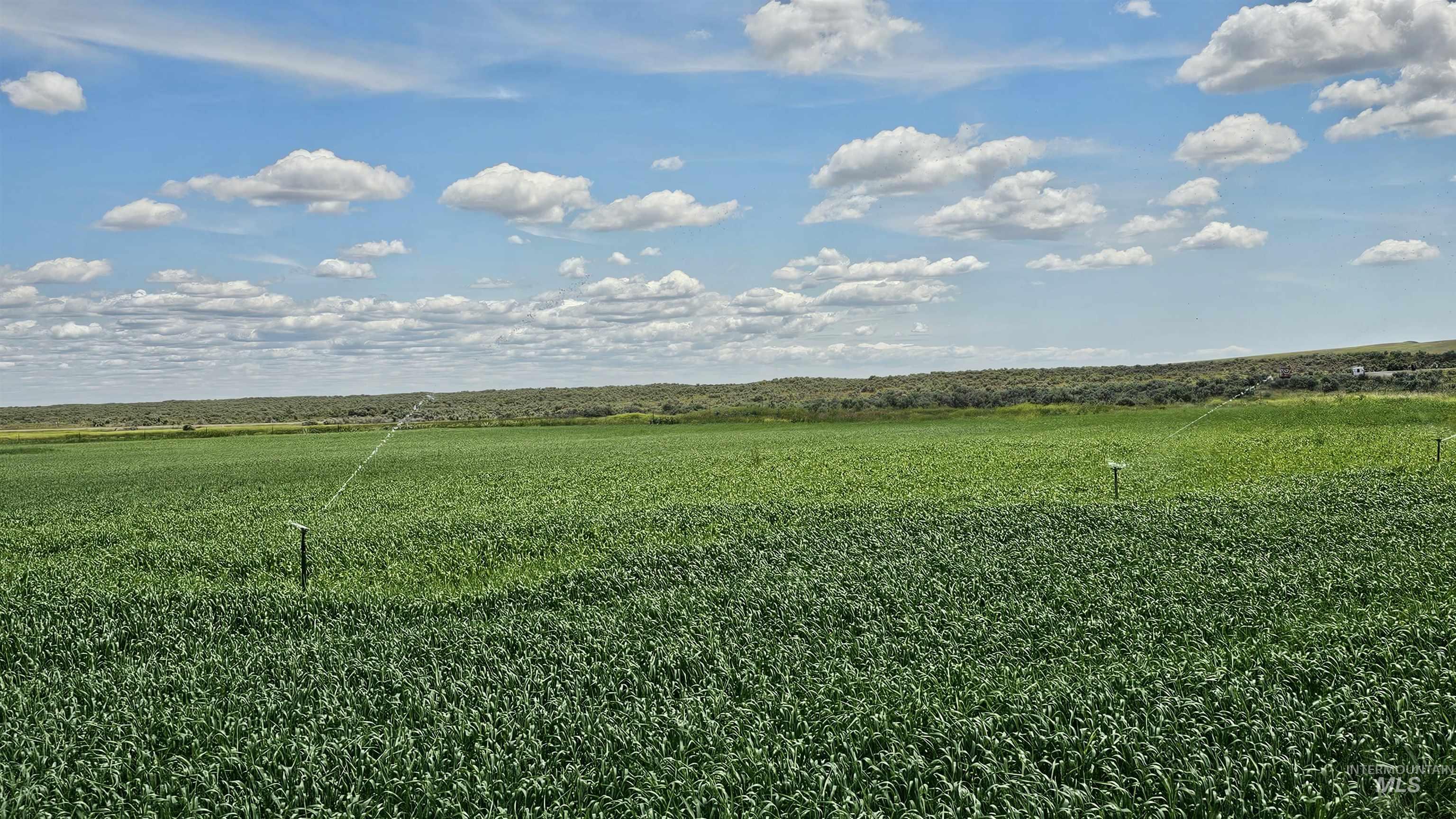 836 E HWY 26, Richfield, Idaho 83349, 1 Bedroom, 1 Bathroom, Farm & Ranch For Sale, Price $1,500,000, 98922474