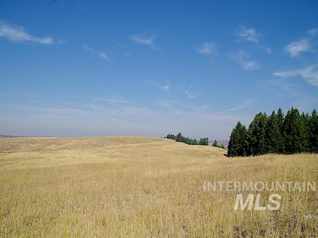 TBD Ditch Creek Road, Council, Idaho 83612, Land For Sale, Price $1,695,000, 98922527