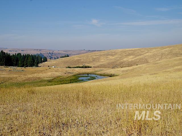 TBD Ditch Creek Road, Council, Idaho 83612, Land For Sale, Price $1,695,000,MLS 98922527