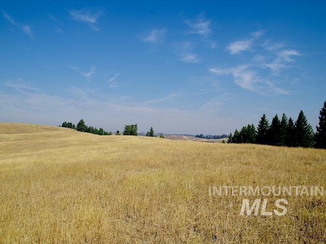 TBD Ditch Creek Road, Council, Idaho 83612, Land For Sale, Price $1,695,000, 98922527