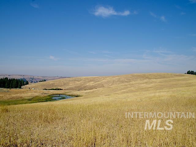 TBD Ditch Creek Road, Council, Idaho 83612, Land For Sale, Price $1,695,000, 98922527