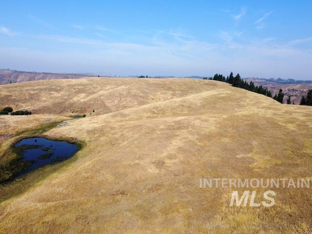 TBD Ditch Creek Road, Council, Idaho 83612, Land For Sale, Price $1,695,000, 98922527