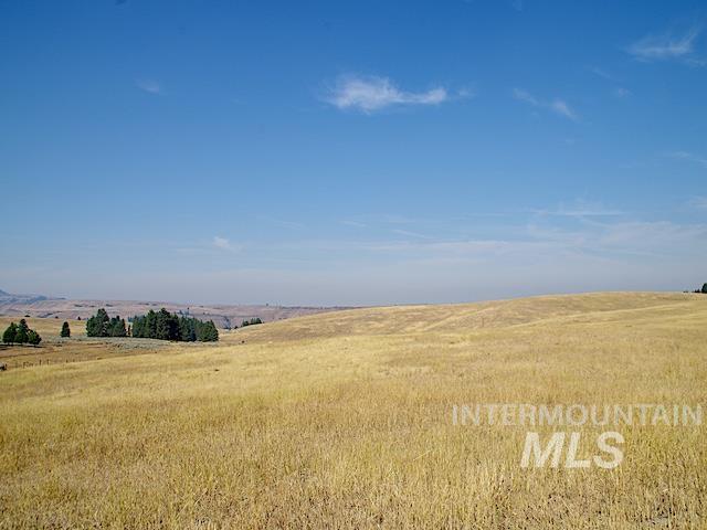 TBD Ditch Creek Road, Council, Idaho 83612, Land For Sale, Price $1,695,000, 98922527