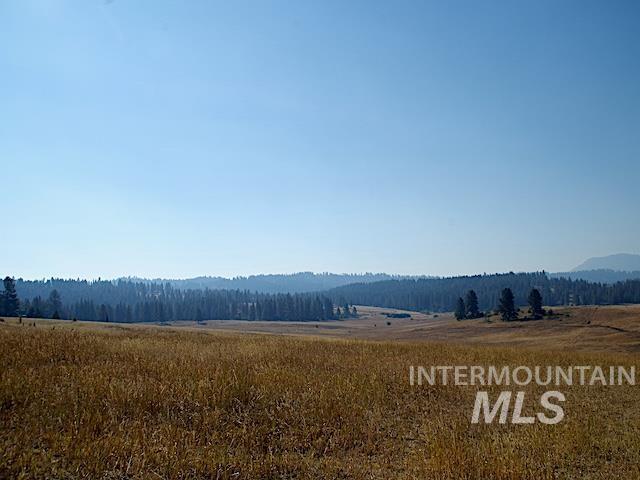 TBD Ditch Creek Road, Council, Idaho 83612, Land For Sale, Price $1,695,000, 98922527