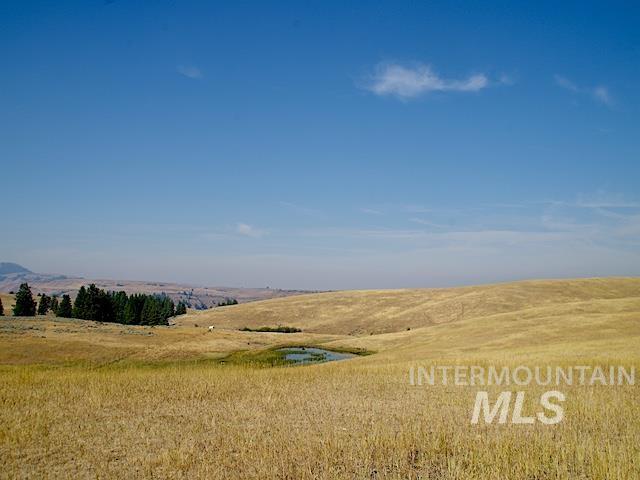 TBD Ditch Creek Road, Council, Idaho 83612, Land For Sale, Price $1,695,000, 98922527