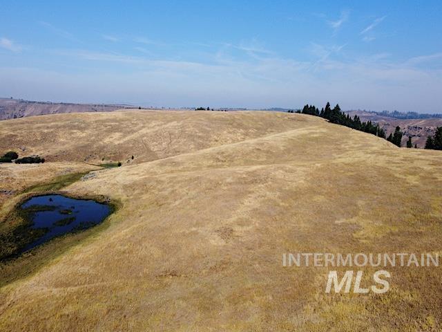 TBD Ditch Creek Road, Council, Idaho 83612, Land For Sale, Price $1,695,000, 98922527