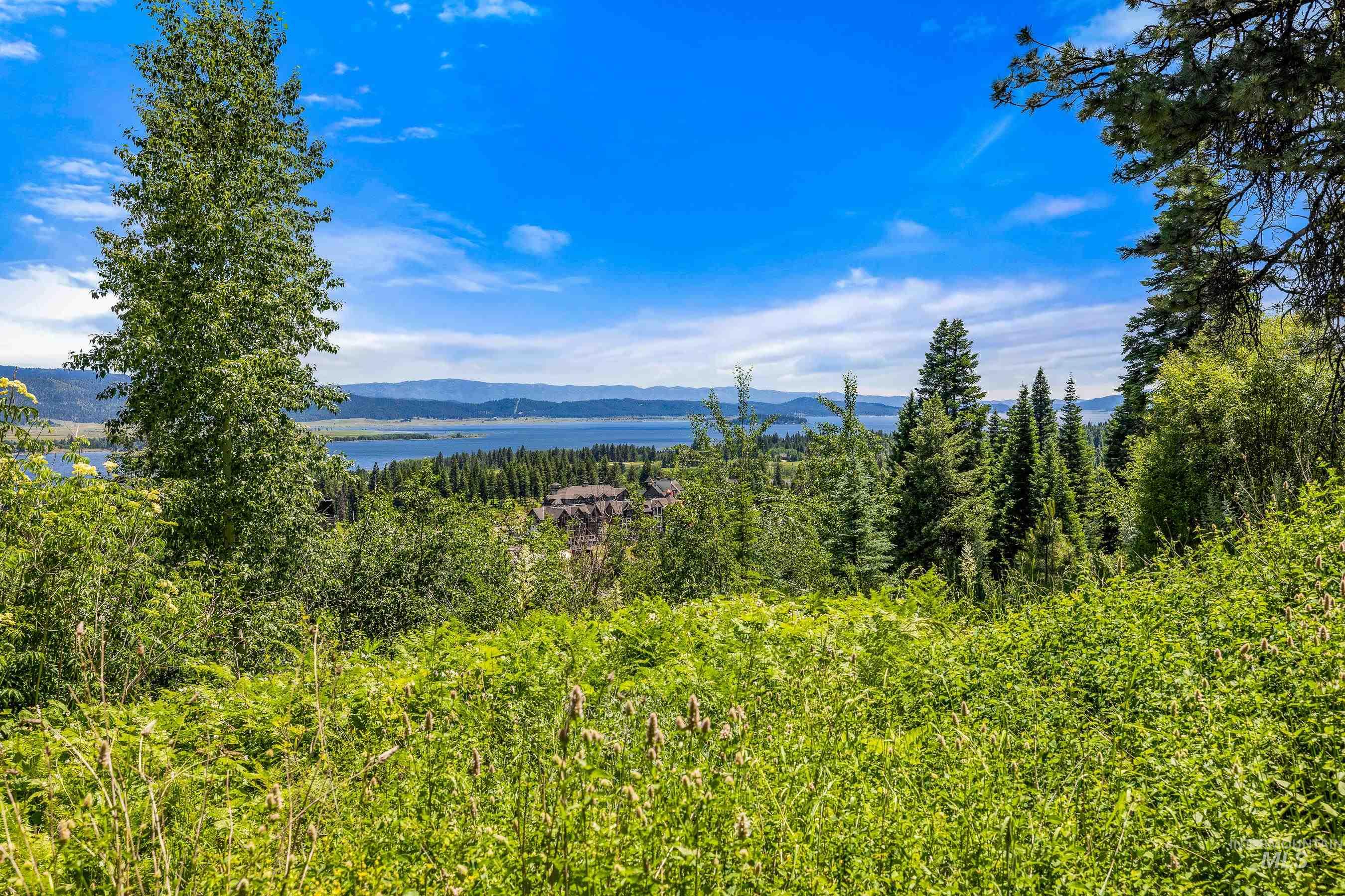 73 Velvet Falls Court, Donnelly, Idaho 83615, Land For Sale, Price $1,150,000, 98922617