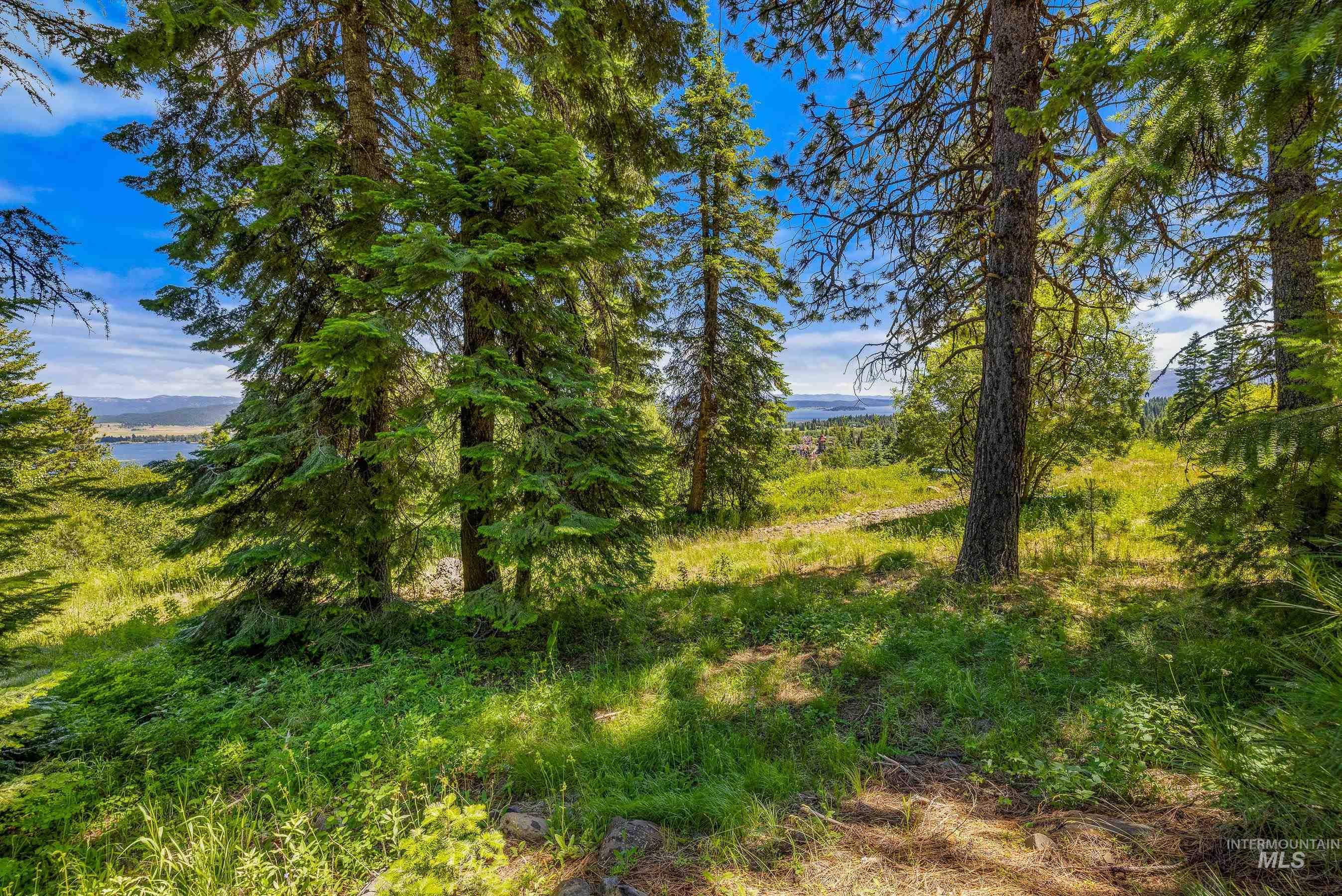 73 Velvet Falls Court, Donnelly, Idaho 83615, Land For Sale, Price $1,150,000, 98922617