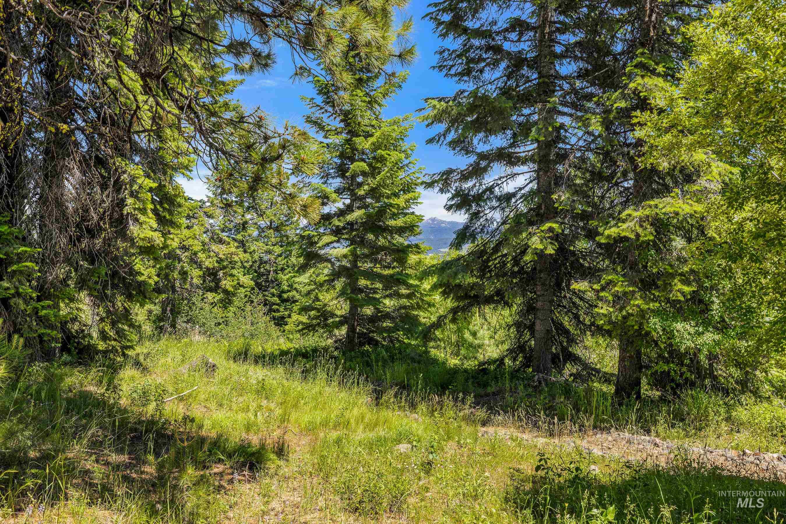 73 Velvet Falls Court, Donnelly, Idaho 83615, Land For Sale, Price $1,150,000,MLS 98922617