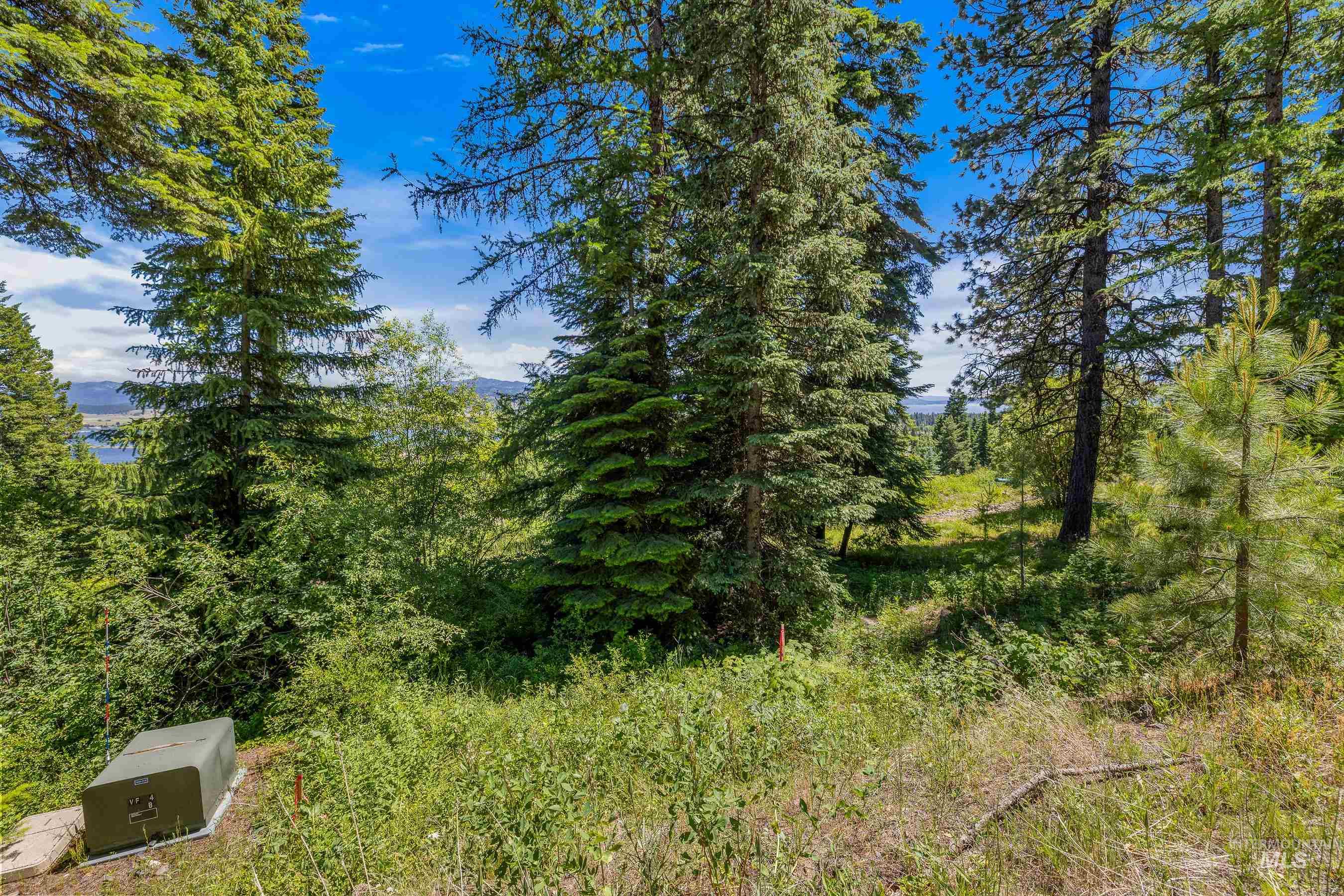 73 Velvet Falls Court, Donnelly, Idaho 83615, Land For Sale, Price $1,150,000, 98922617