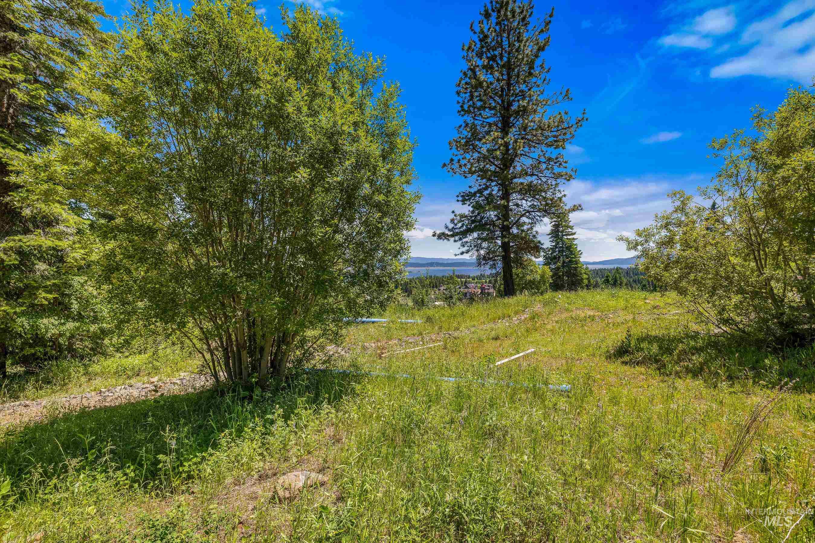 73 Velvet Falls Court, Donnelly, Idaho 83615, Land For Sale, Price $1,150,000, 98922617
