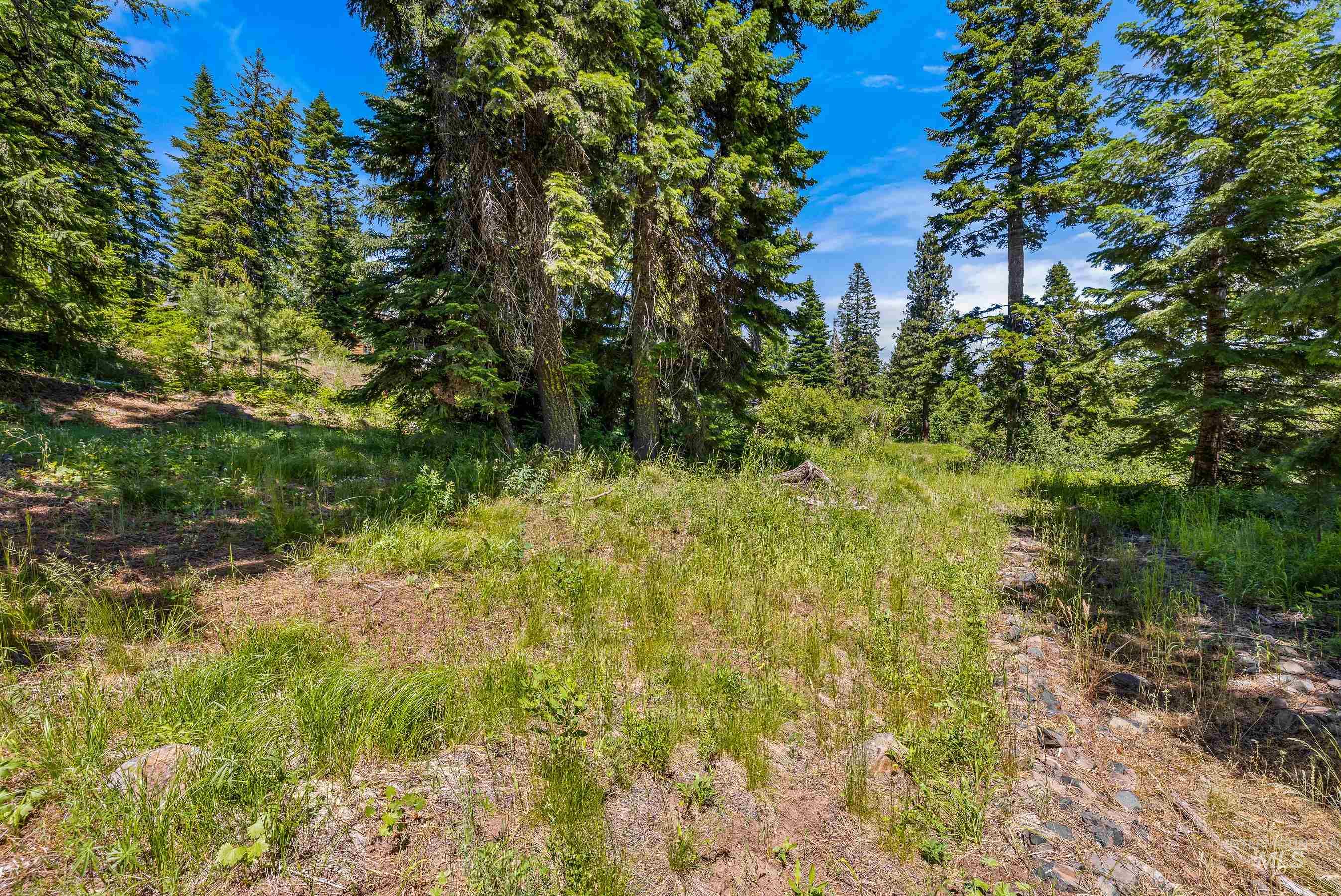 73 Velvet Falls Court, Donnelly, Idaho 83615, Land For Sale, Price $1,150,000, 98922617