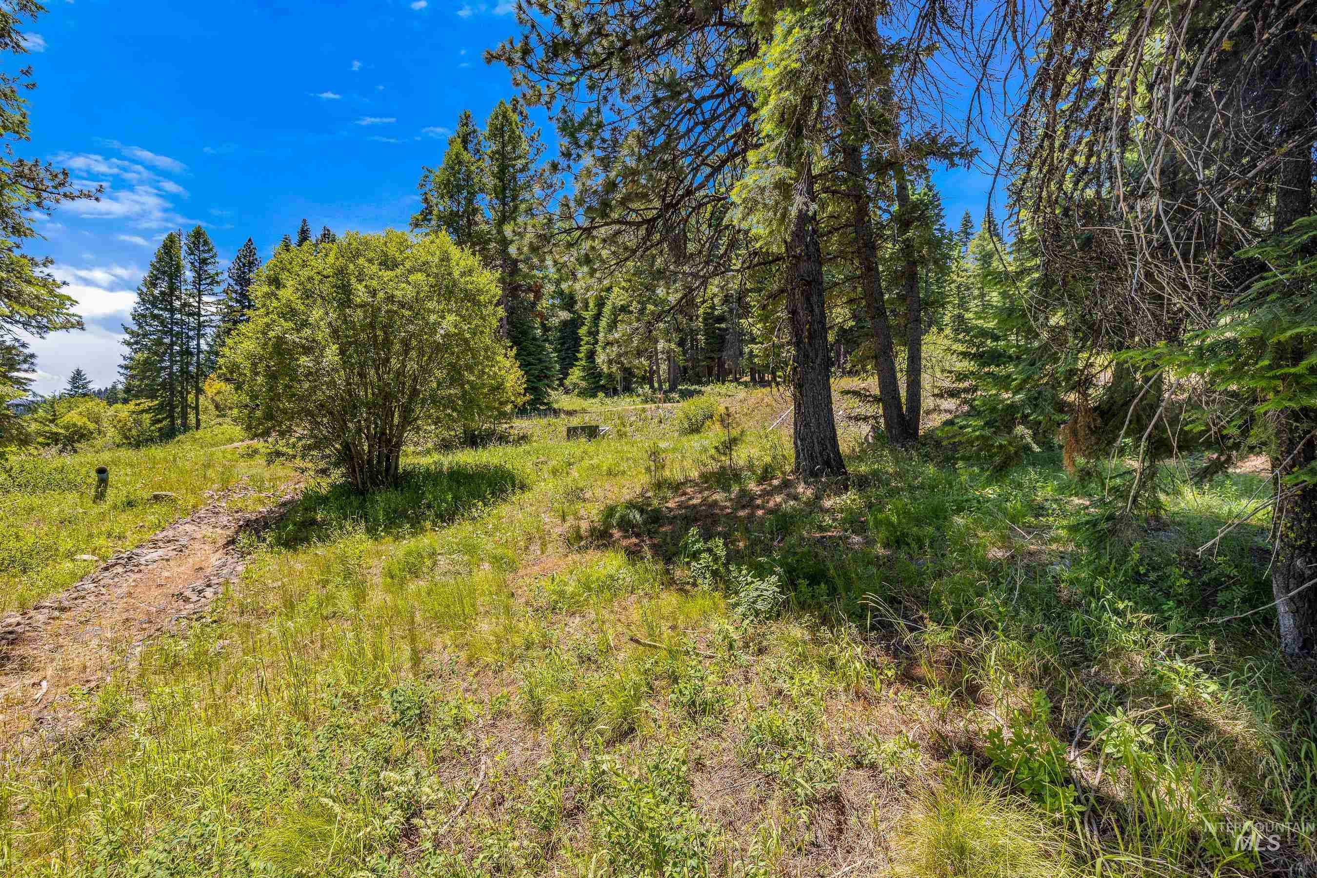 73 Velvet Falls Court, Donnelly, Idaho 83615, Land For Sale, Price $1,150,000, 98922617