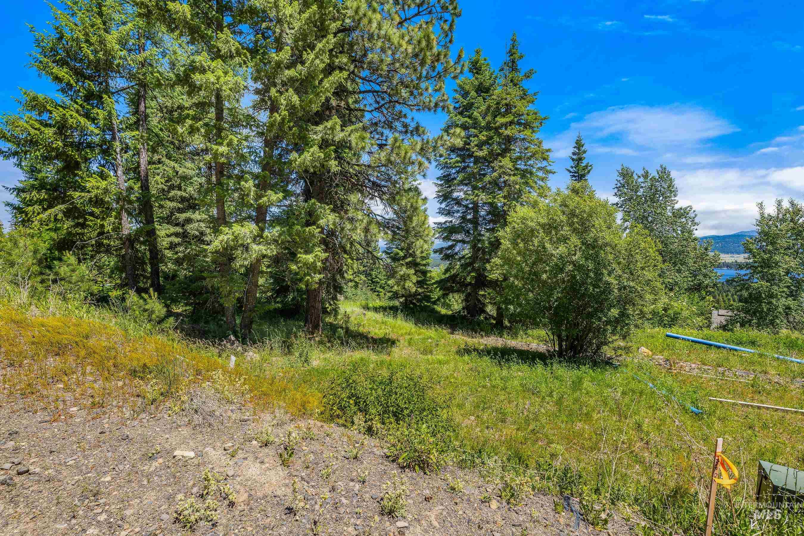 73 Velvet Falls Court, Donnelly, Idaho 83615, Land For Sale, Price $1,150,000, 98922617