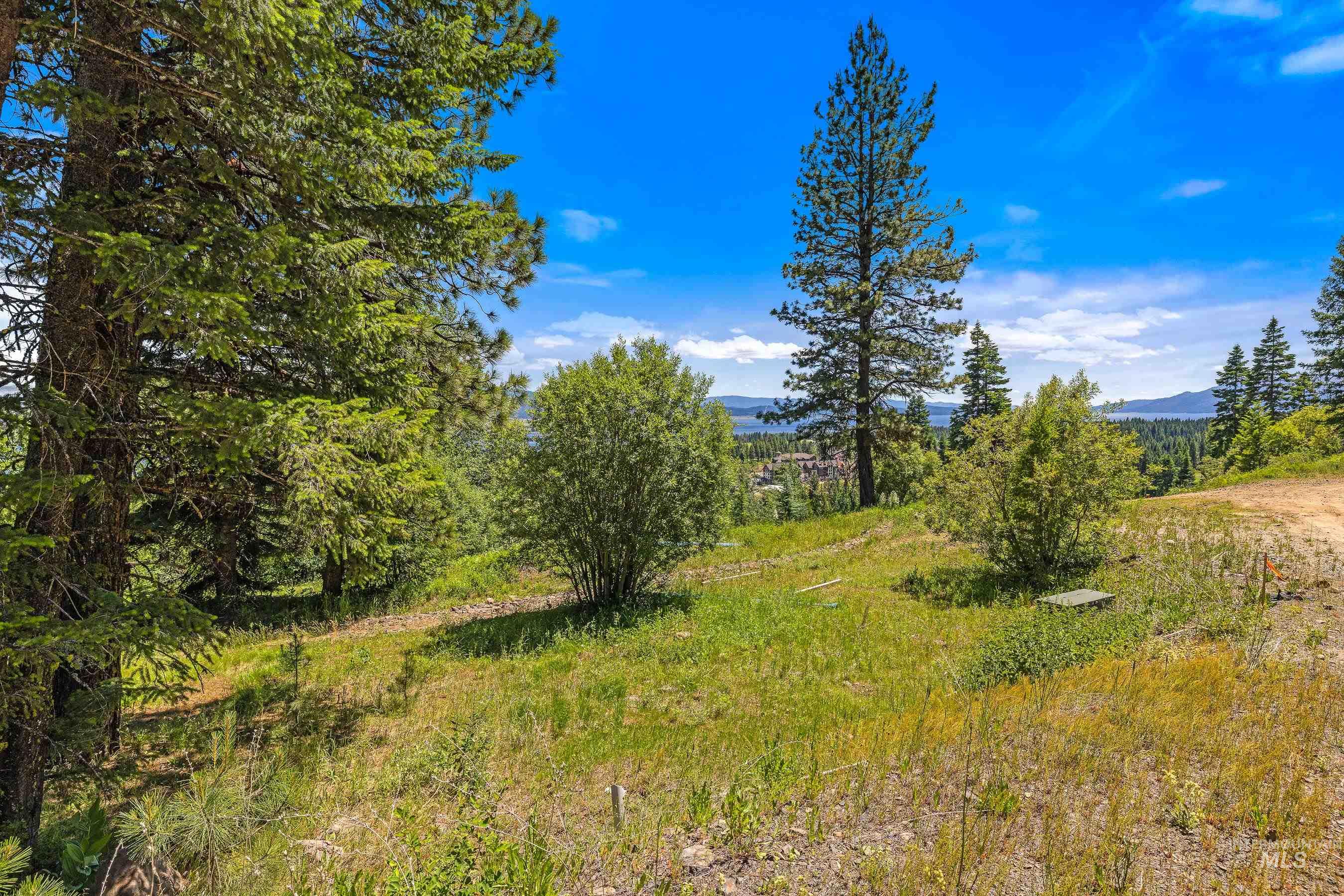 73 Velvet Falls Court, Donnelly, Idaho 83615, Land For Sale, Price $1,150,000, 98922617