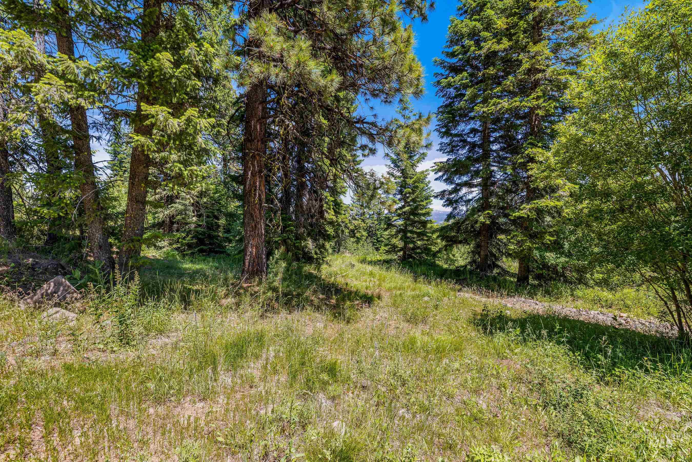 73 Velvet Falls Court, Donnelly, Idaho 83615, Land For Sale, Price $1,150,000,MLS 98922617