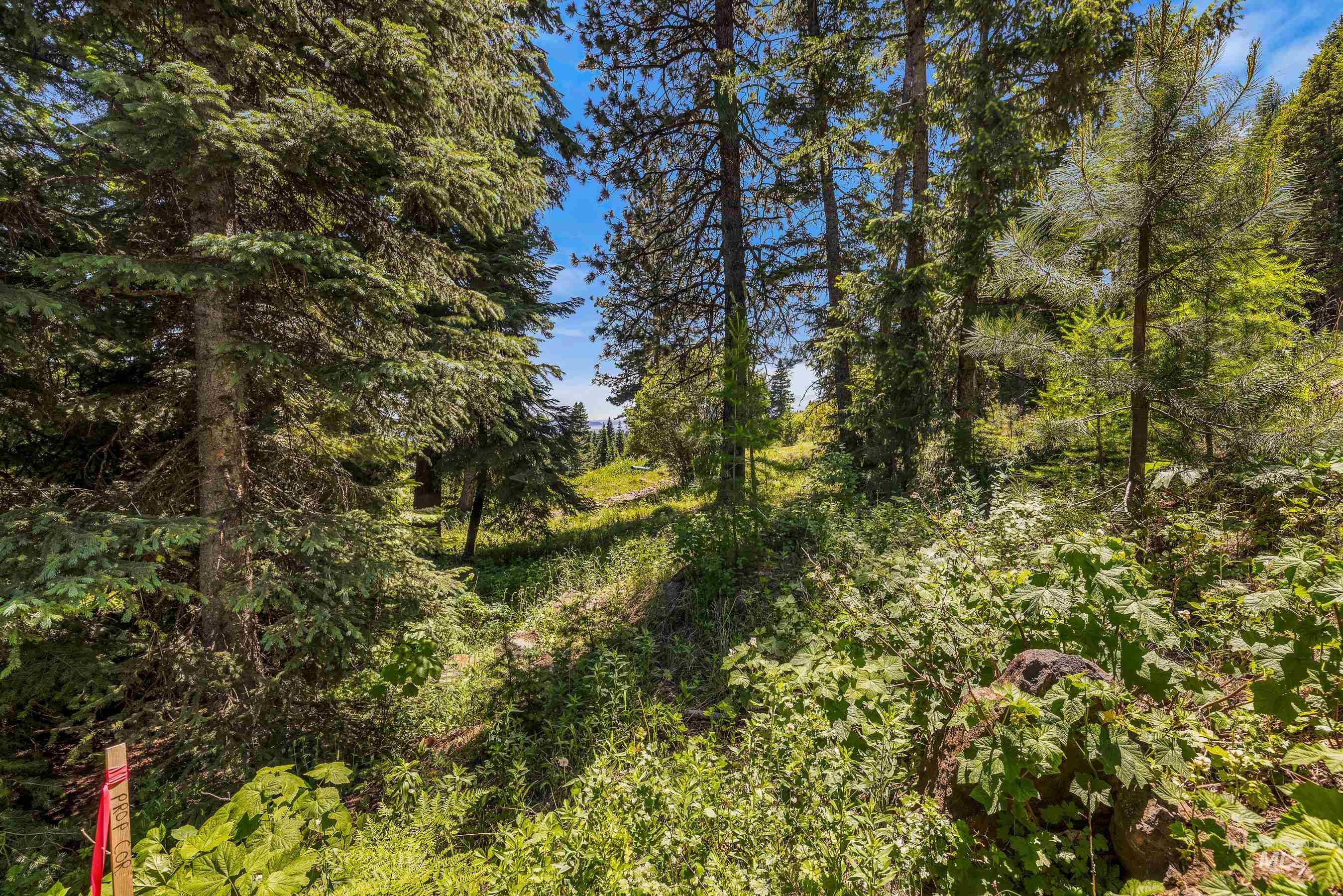 73 Velvet Falls Court, Donnelly, Idaho 83615, Land For Sale, Price $1,150,000,MLS 98922617