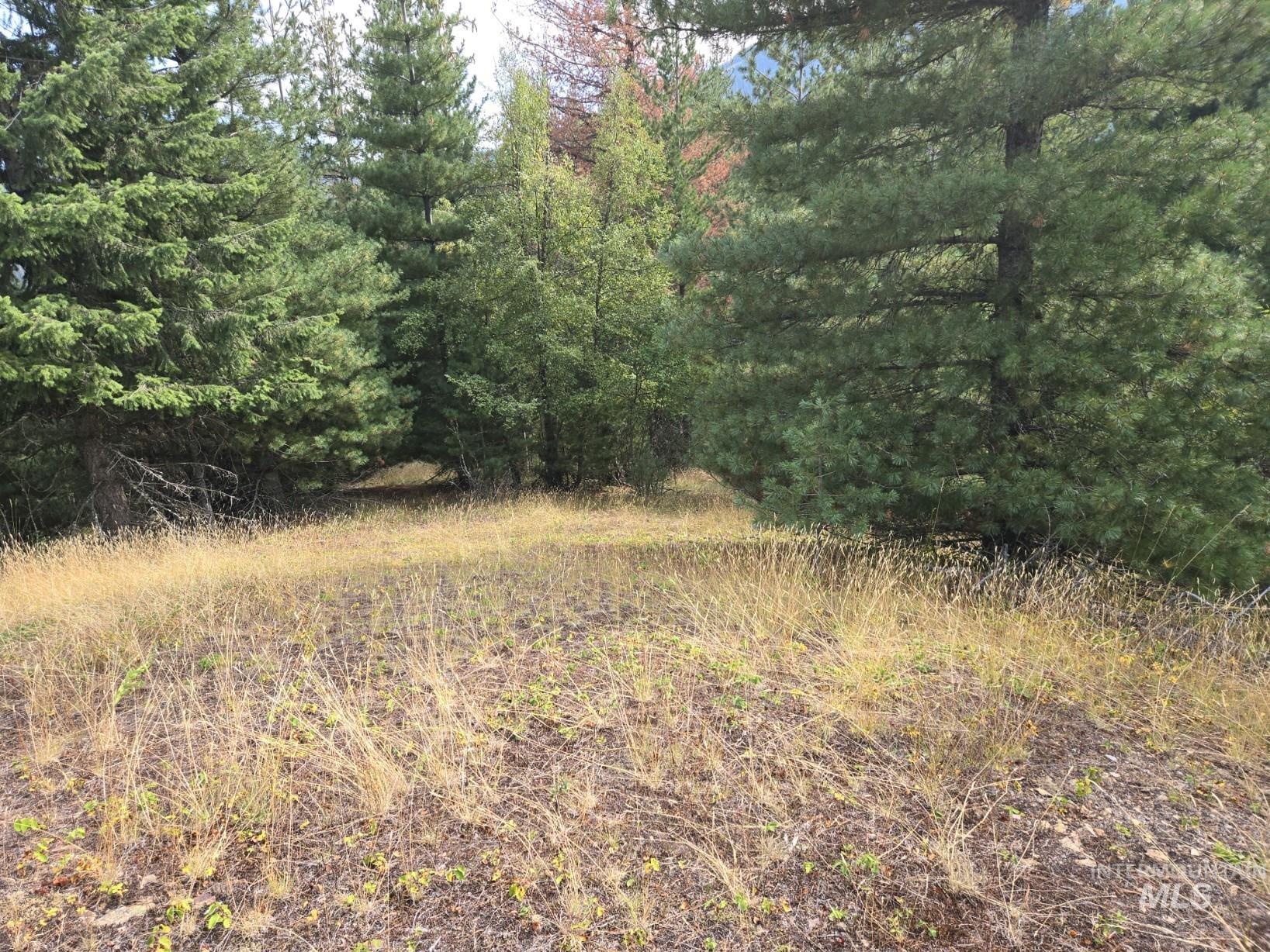 51833 Silver Valley Rd, Kellogg, Idaho 83837, Land For Sale, Price $699,000, 98922787
