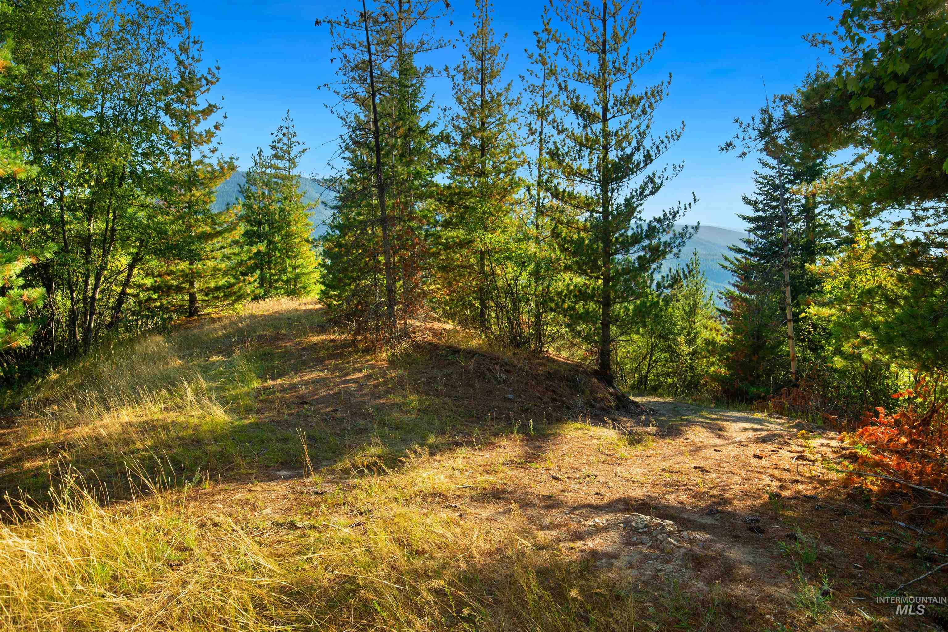 51833 Silver Valley Rd, Kellogg, Idaho 83837, Land For Sale, Price $699,000, 98922787