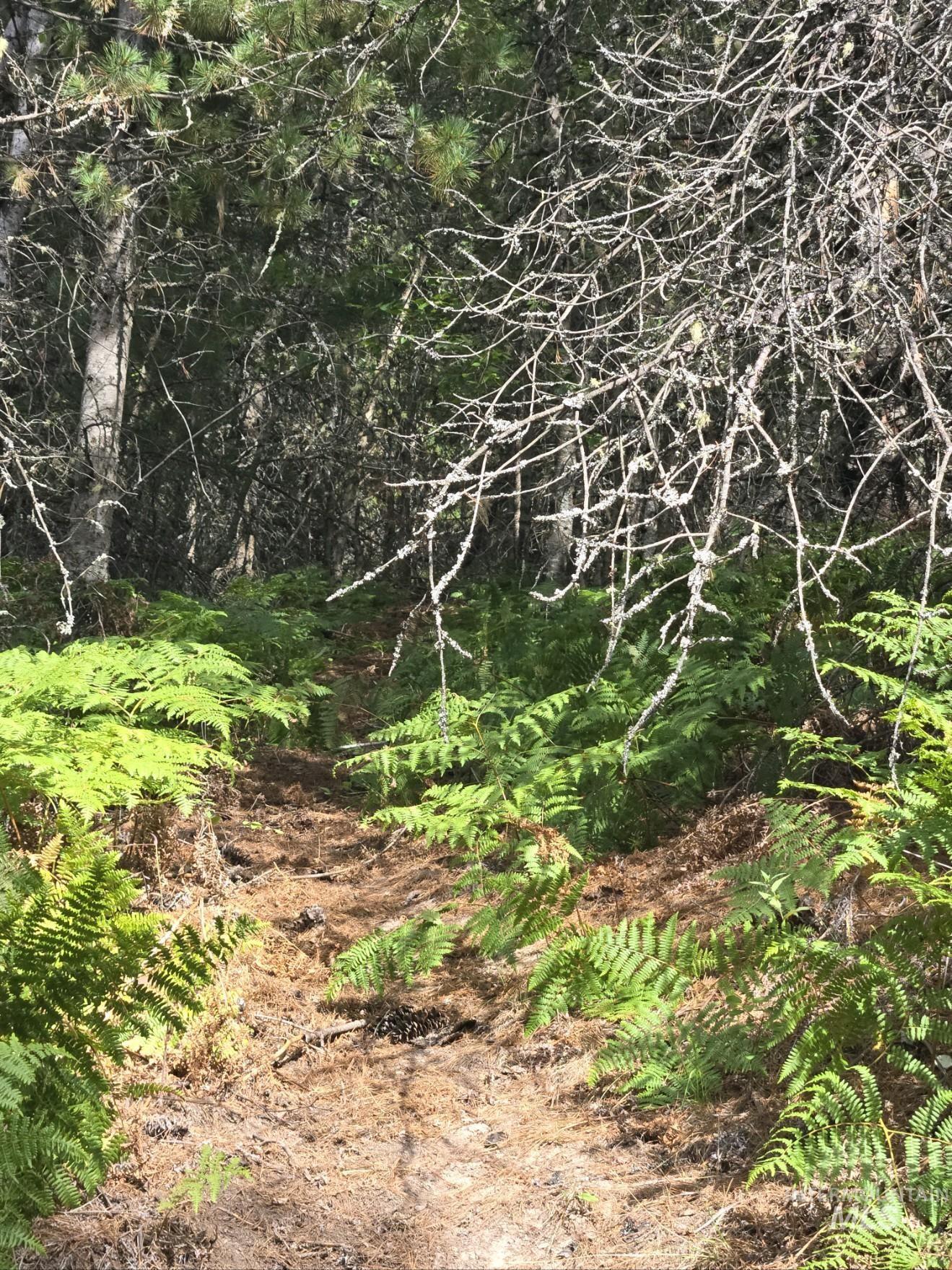 51833 Silver Valley Rd, Kellogg, Idaho 83837, Land For Sale, Price $699,000, 98922787