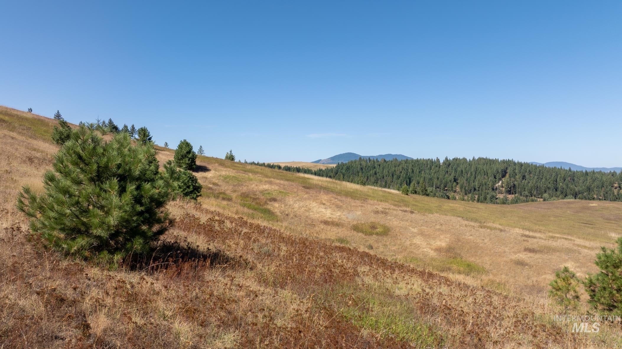 Starview Lane Parcel 3, Princeton, Idaho 83857, Land For Sale, Price $535,000,MLS 98922817