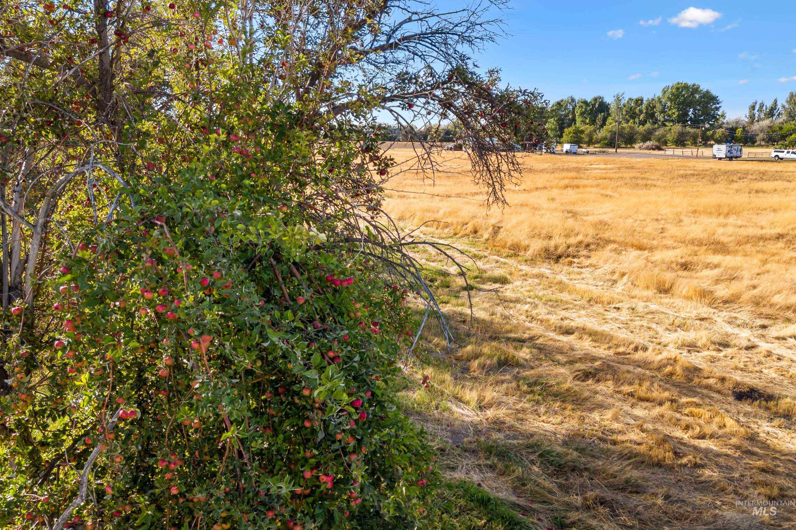TBD Kenyon Road, Twin Falls, Idaho 83301, Land For Sale, Price $1,850,000, 98922827