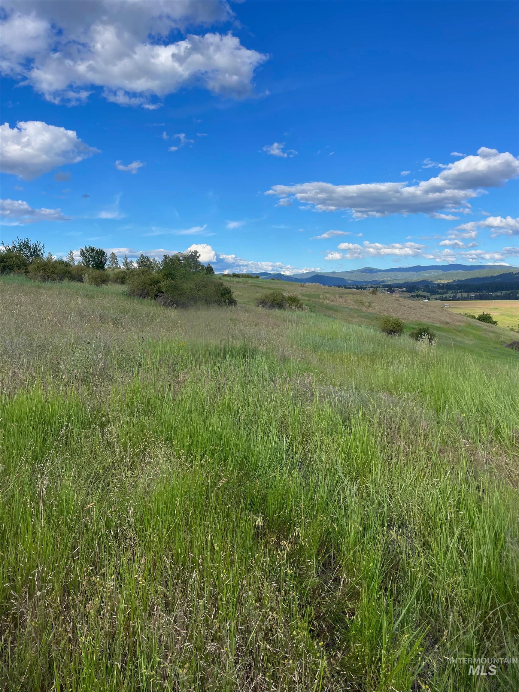 TBD Brotnov Rd., Clearwater, Idaho 83552, Land For Sale, Price $245,000,MLS 98922884