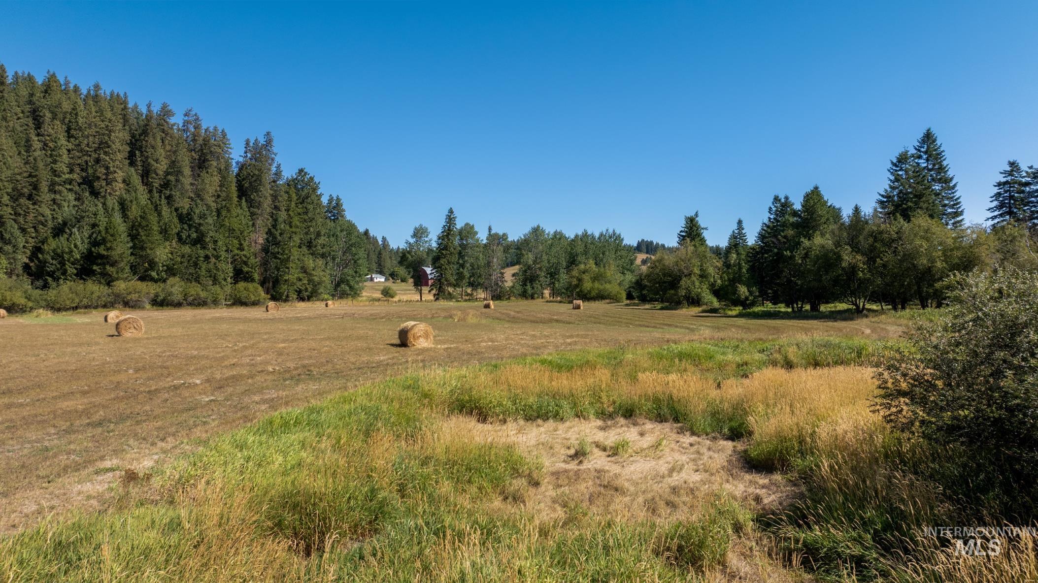 00 Garden Gulch Rd, Princeton, Idaho 83857, Land For Sale, Price $175,000,MLS 98923004