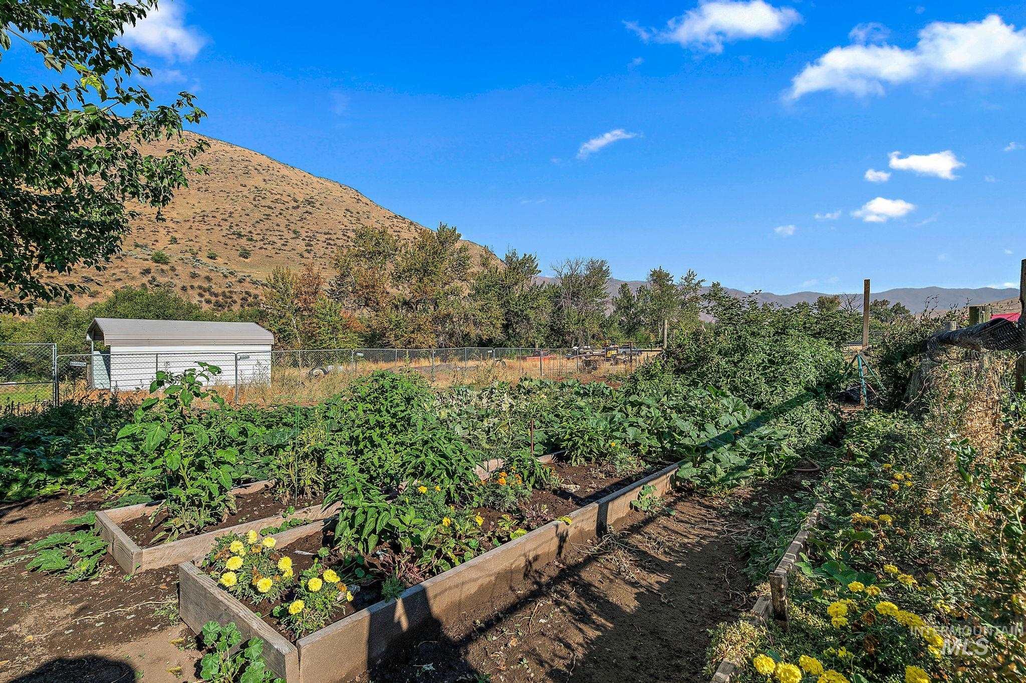 6856 Highway 55, Horseshoe Bend, Idaho 83629, 3 Bedrooms, 3 Bathrooms, Residential For Sale, Price $1,498,000, 98923100