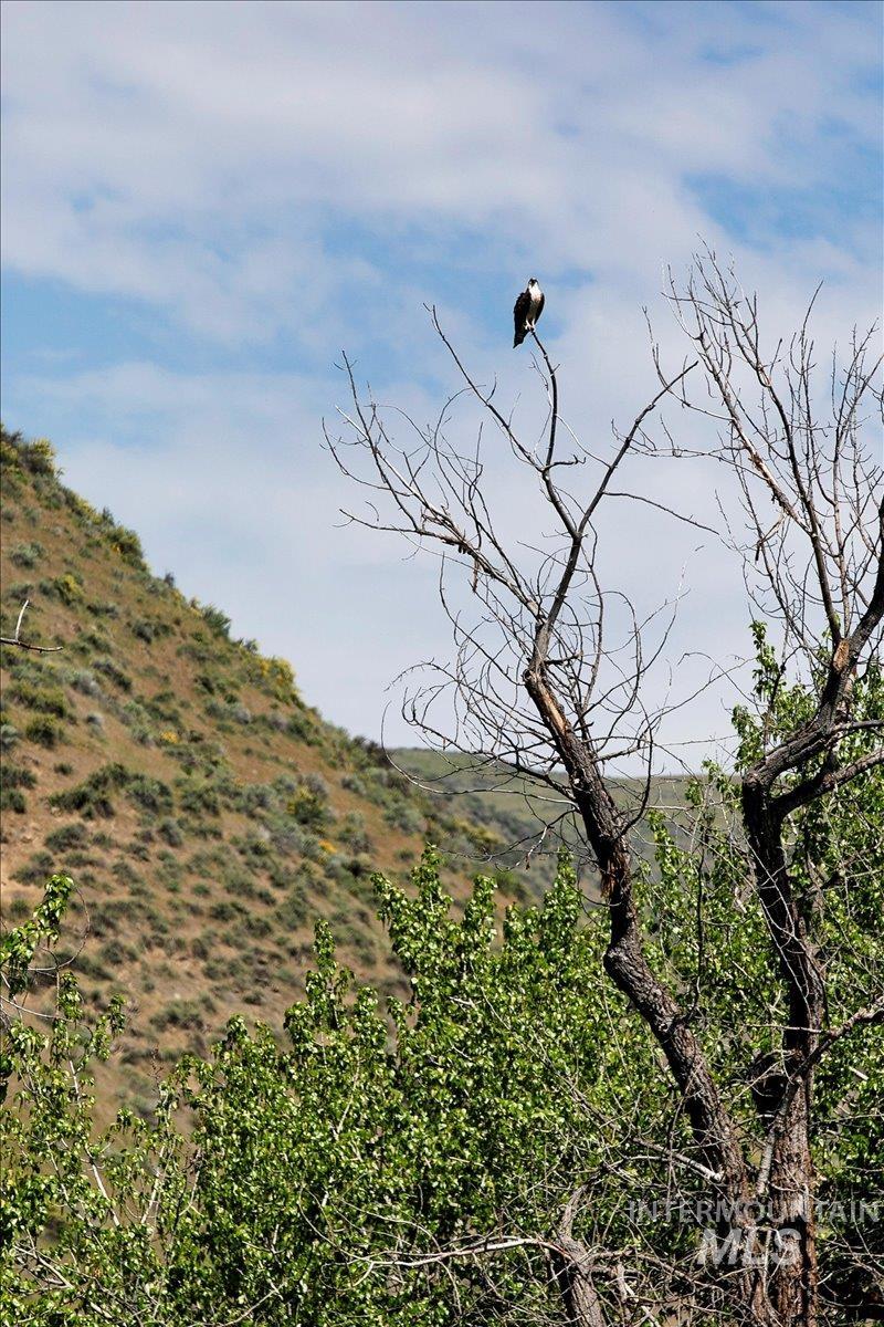 6856 Highway 55, Horseshoe Bend, Idaho 83629, 3 Bedrooms, 3 Bathrooms, Residential For Sale, Price $1,498,000, 98923100