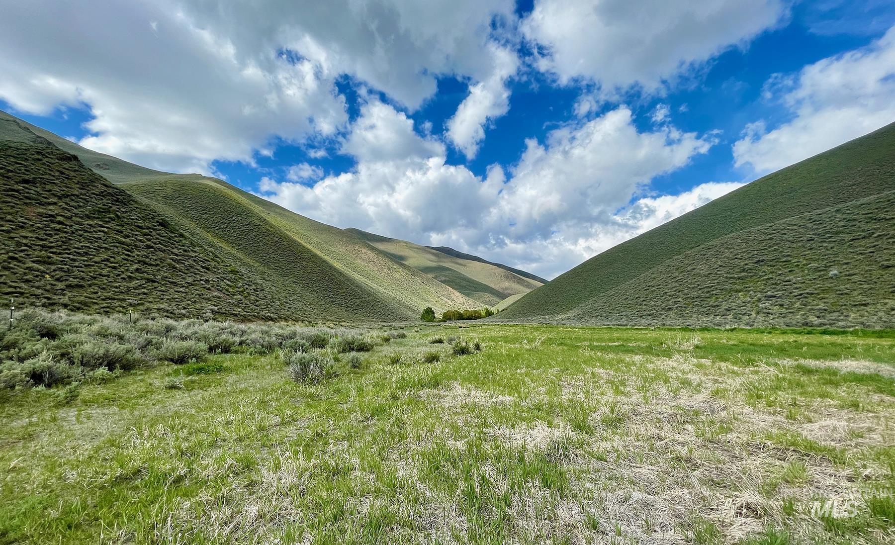 TBD Slaughterhouse Creek, Bellevue, Idaho 83313, Farm & Ranch For Sale, Price $750,000, 98923155