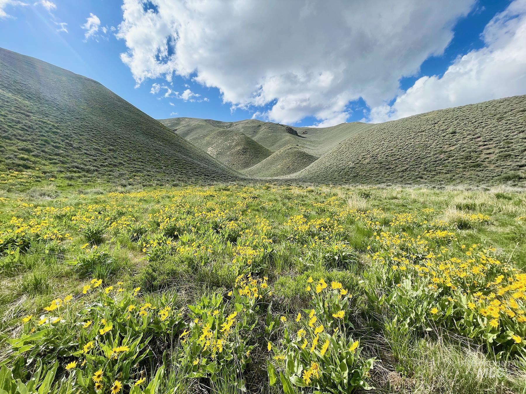 TBD Slaughterhouse Creek, Bellevue, Idaho 83313, Farm & Ranch For Sale, Price $750,000, 98923155