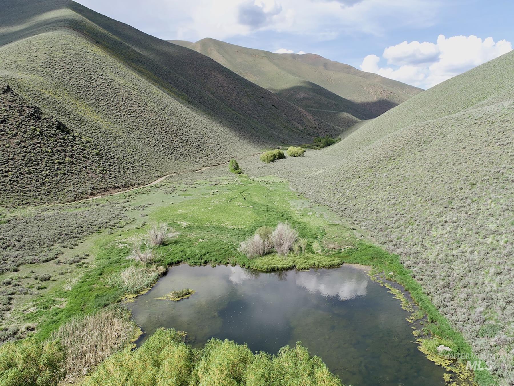 TBD Slaughterhouse Creek, Bellevue, Idaho 83313, Farm & Ranch For Sale, Price $750,000, 98923155