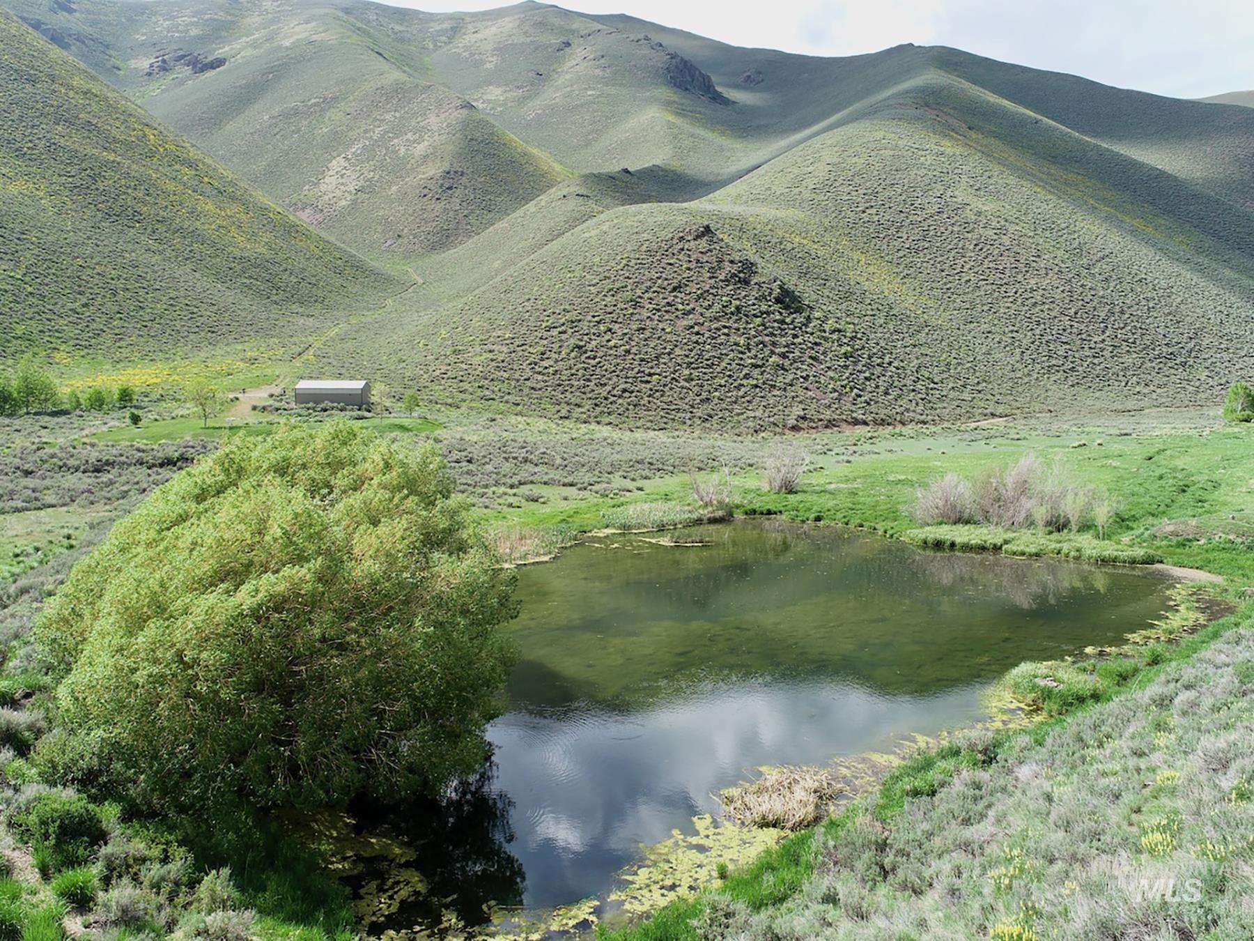 TBD Slaughterhouse Creek, Bellevue, Idaho 83313, Farm & Ranch For Sale, Price $750,000, 98923155