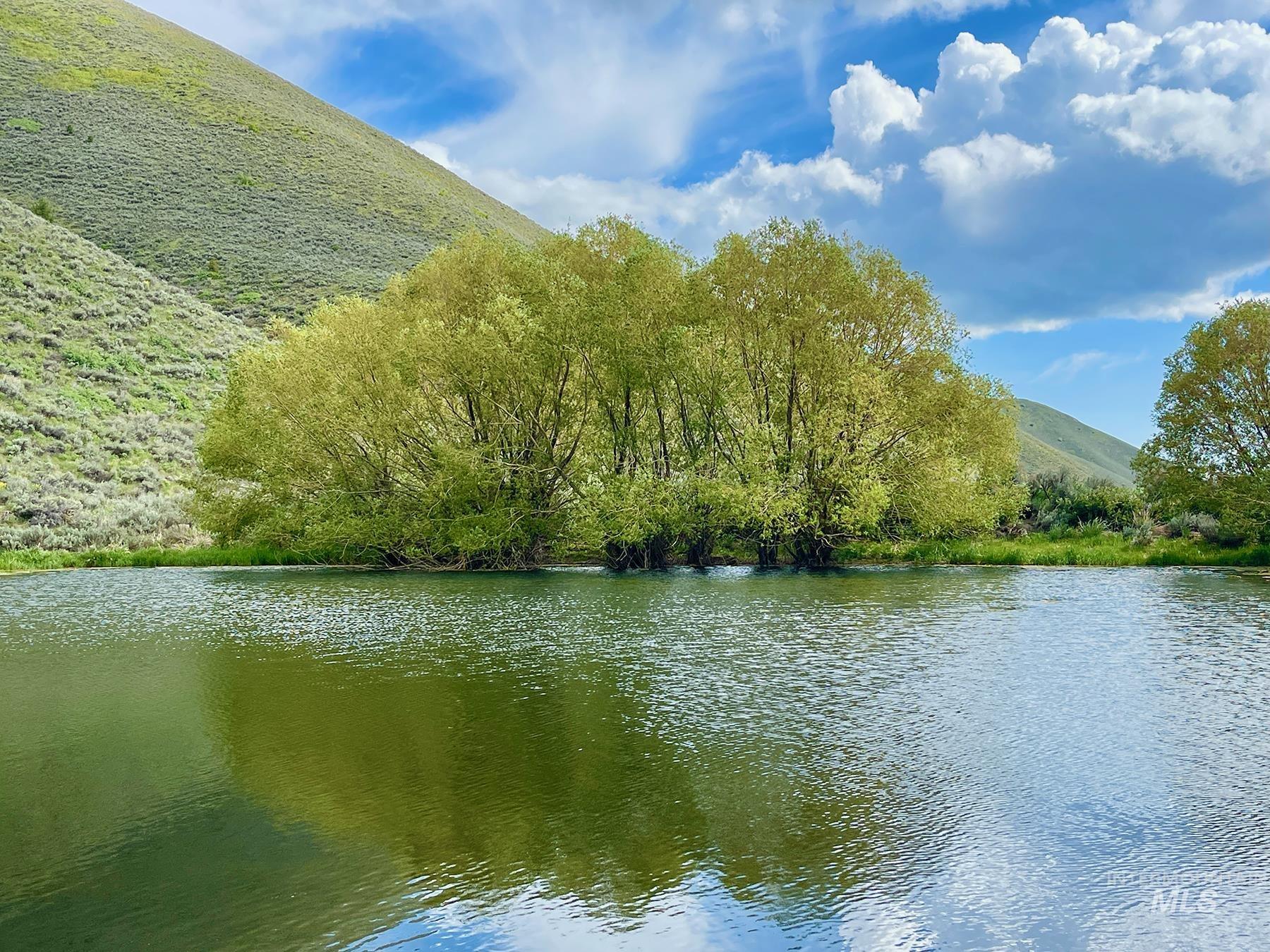 TBD Slaughterhouse Creek, Bellevue, Idaho 83313, Farm & Ranch For Sale, Price $750,000, 98923155