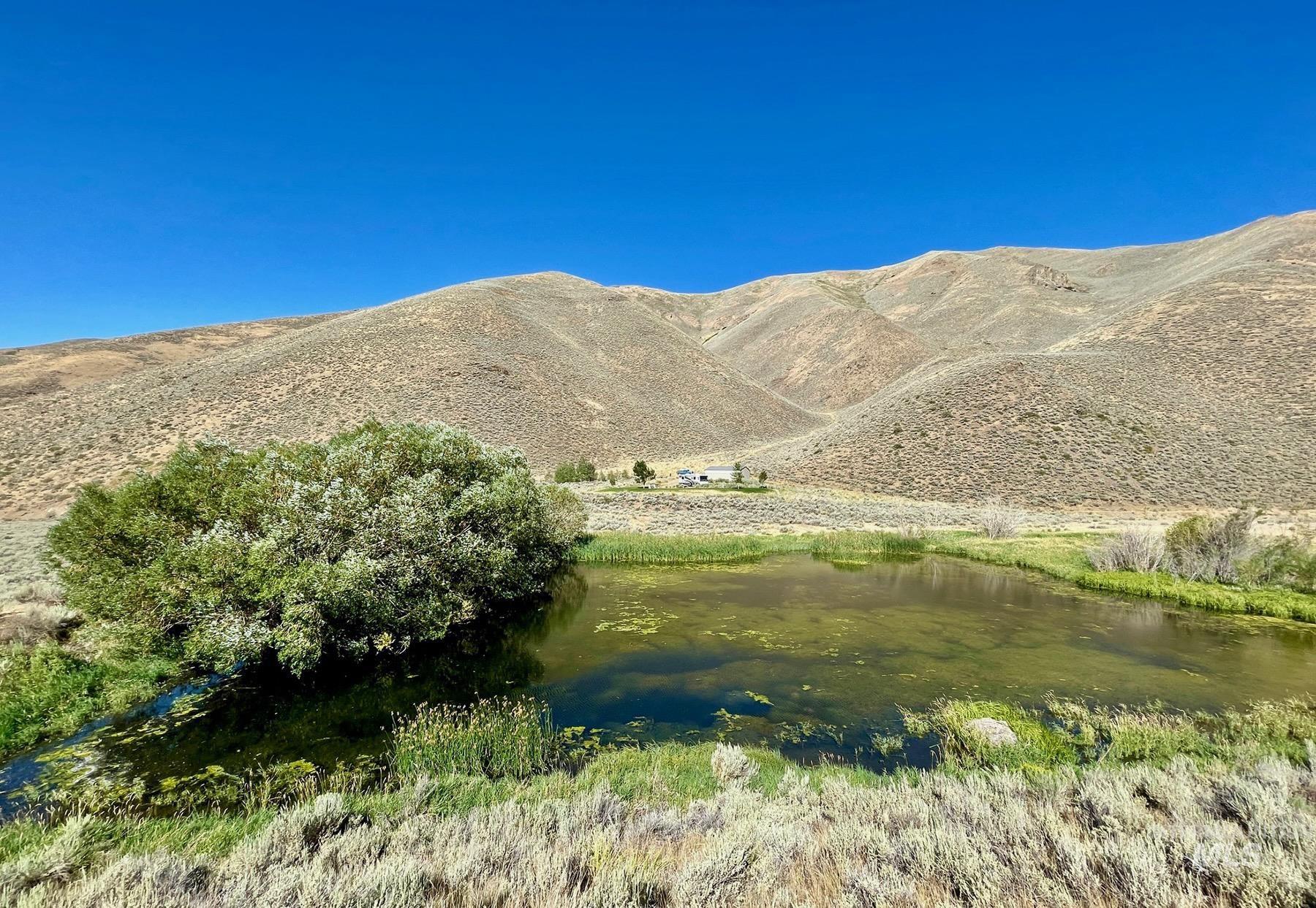 TBD Slaughterhouse Creek, Bellevue, Idaho 83313, Farm & Ranch For Sale, Price $750,000, 98923155