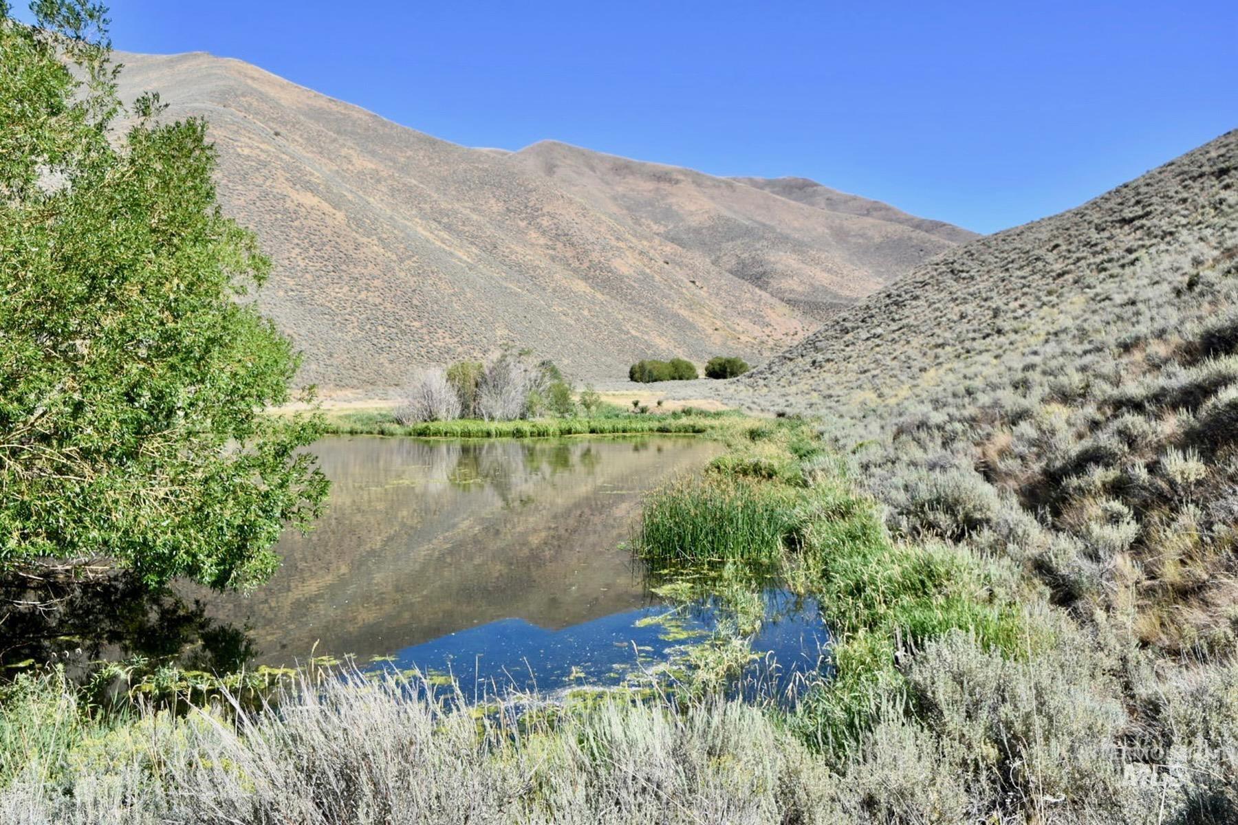 TBD Slaughterhouse Creek, Bellevue, Idaho 83313, Farm & Ranch For Sale, Price $750,000, 98923155