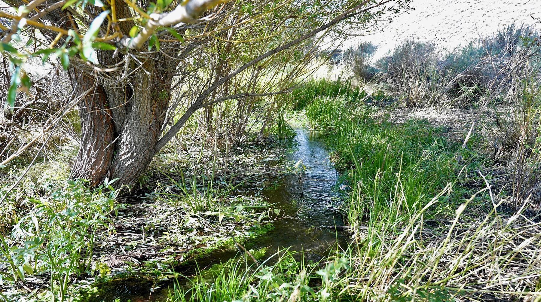 TBD Slaughterhouse Creek, Bellevue, Idaho 83313, Farm & Ranch For Sale, Price $750,000, 98923155