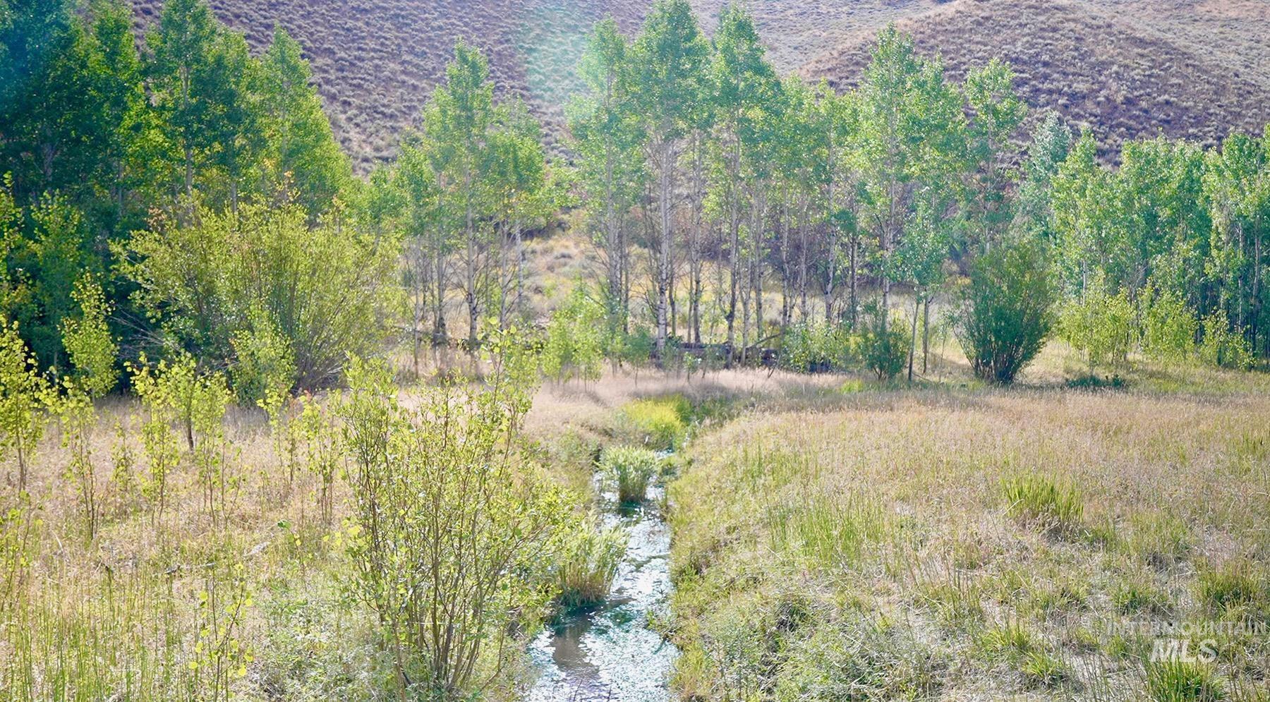 TBD Slaughterhouse Creek, Bellevue, Idaho 83313, Farm & Ranch For Sale, Price $750,000, 98923155